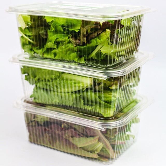 Fresh Salad Boxes delivered to your door in Bangalore. Try our #Aquaponic grown lettuce and other leafy greens!