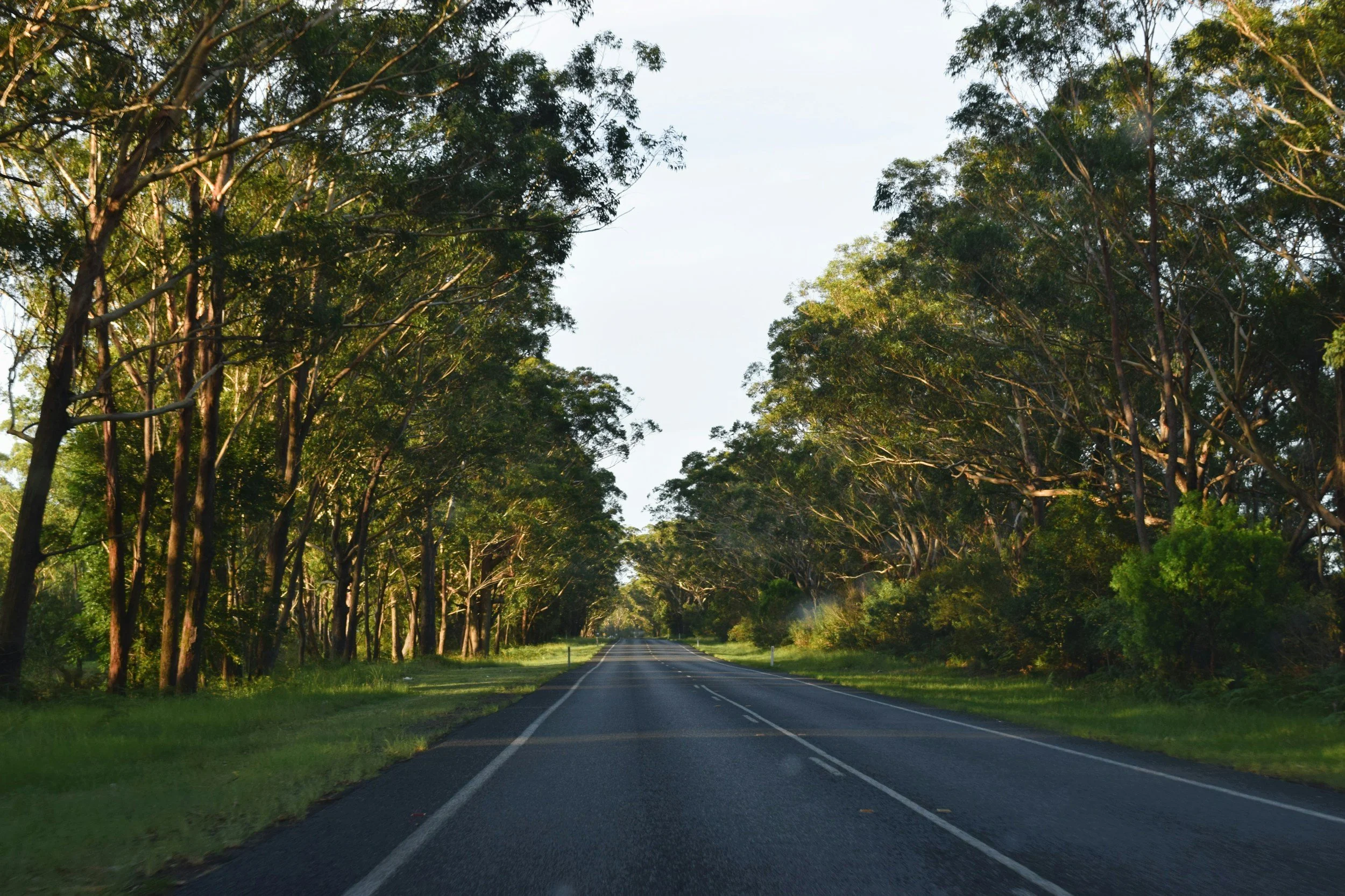 unsplash-image-Oi-vWGA4wrw.jpg