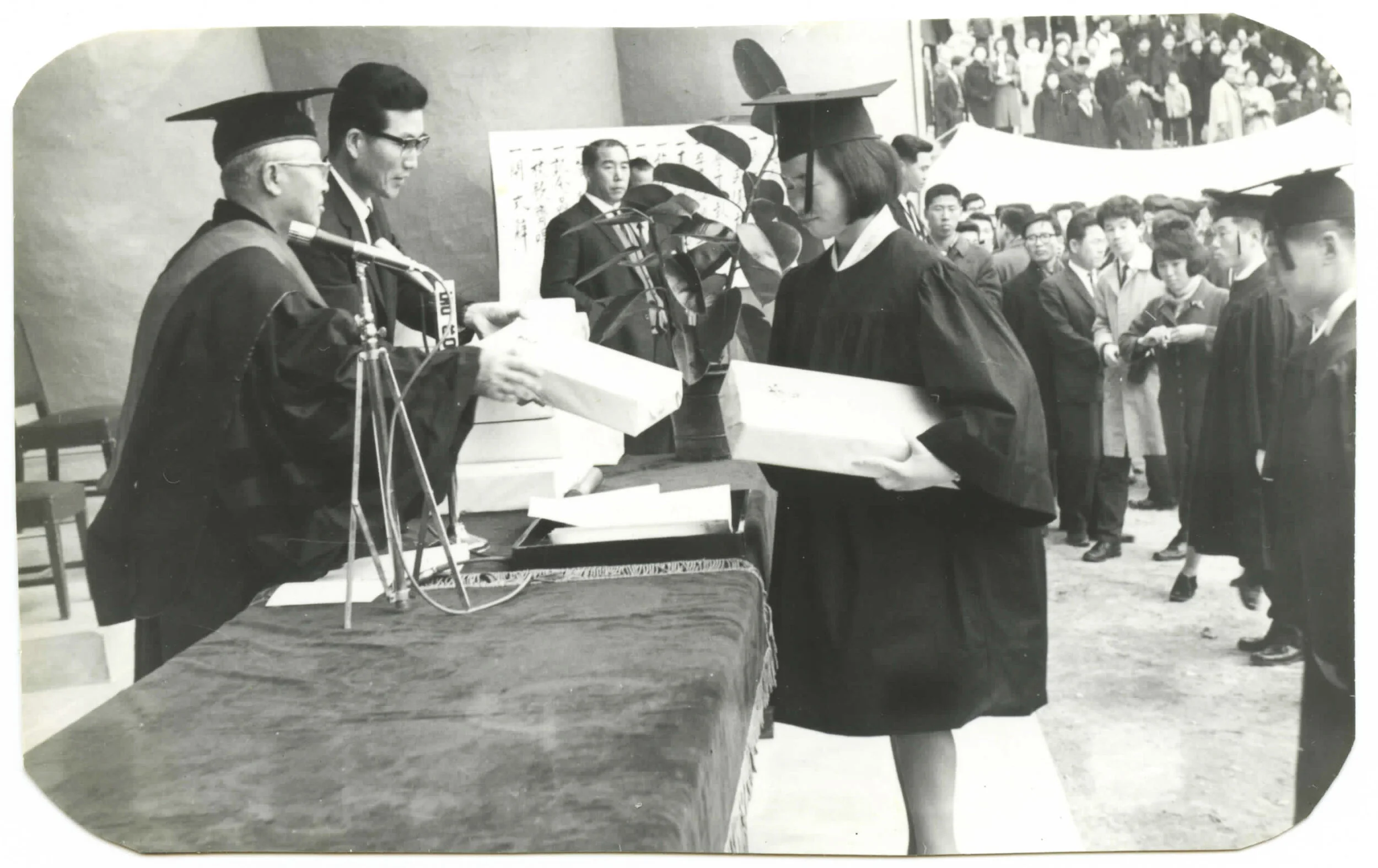 Auntie MoonJa Graduation 