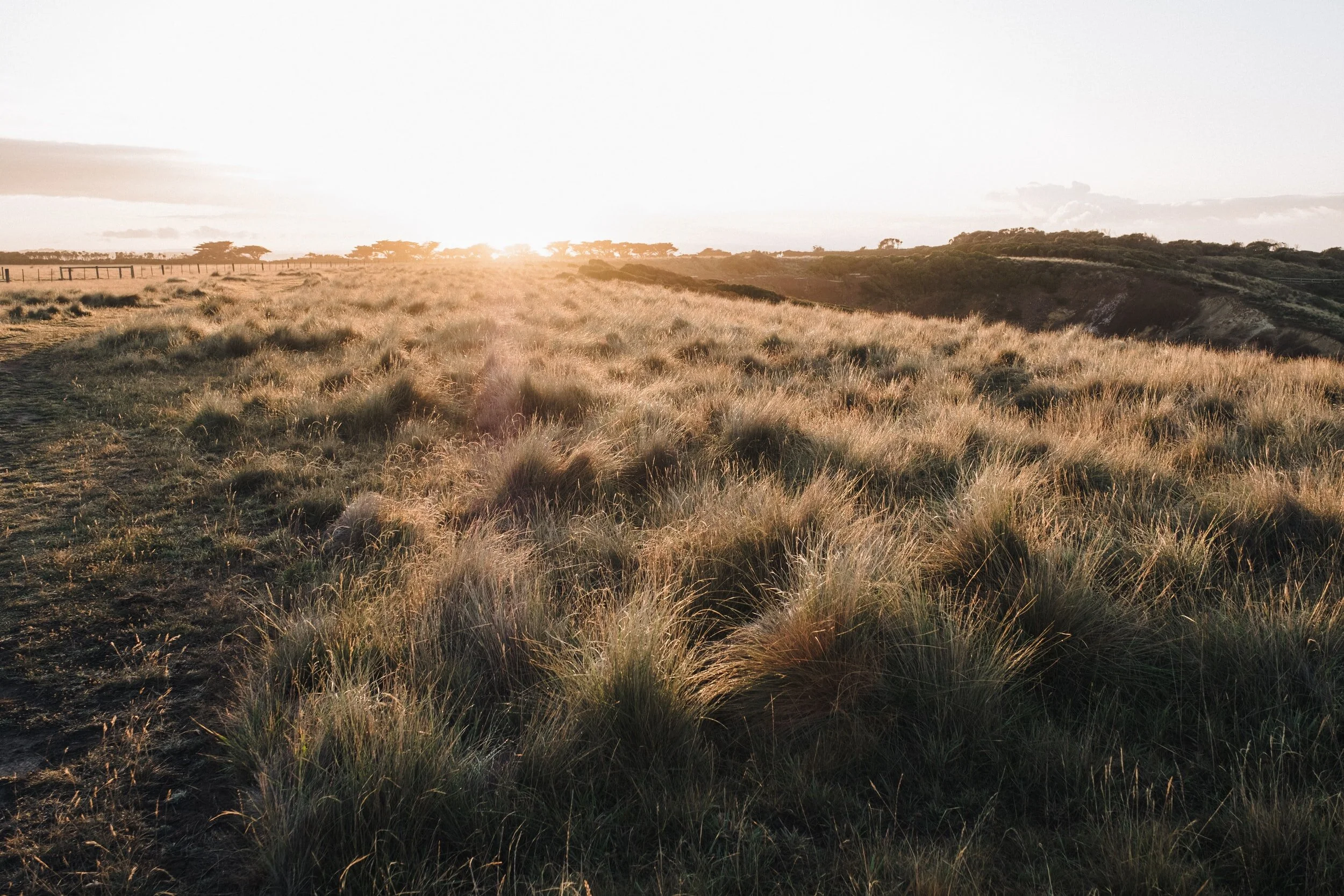 A Model Of Resilience