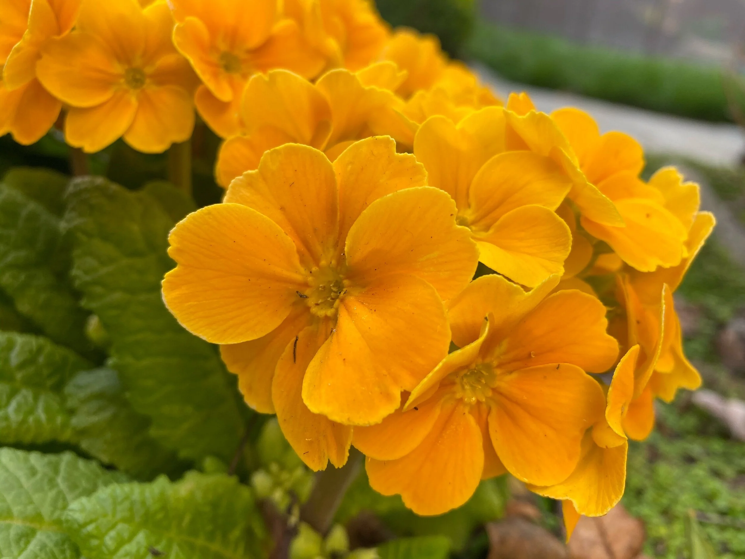 Not time….but I felt great