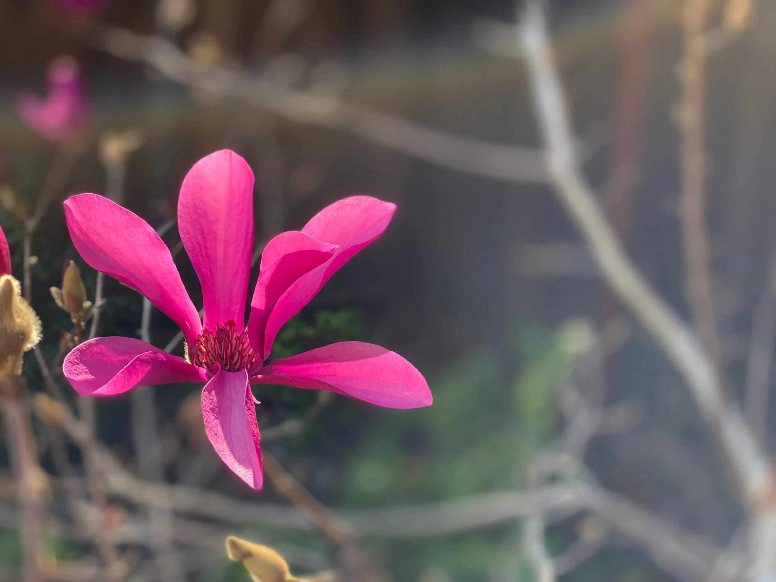 Rest day is house work day