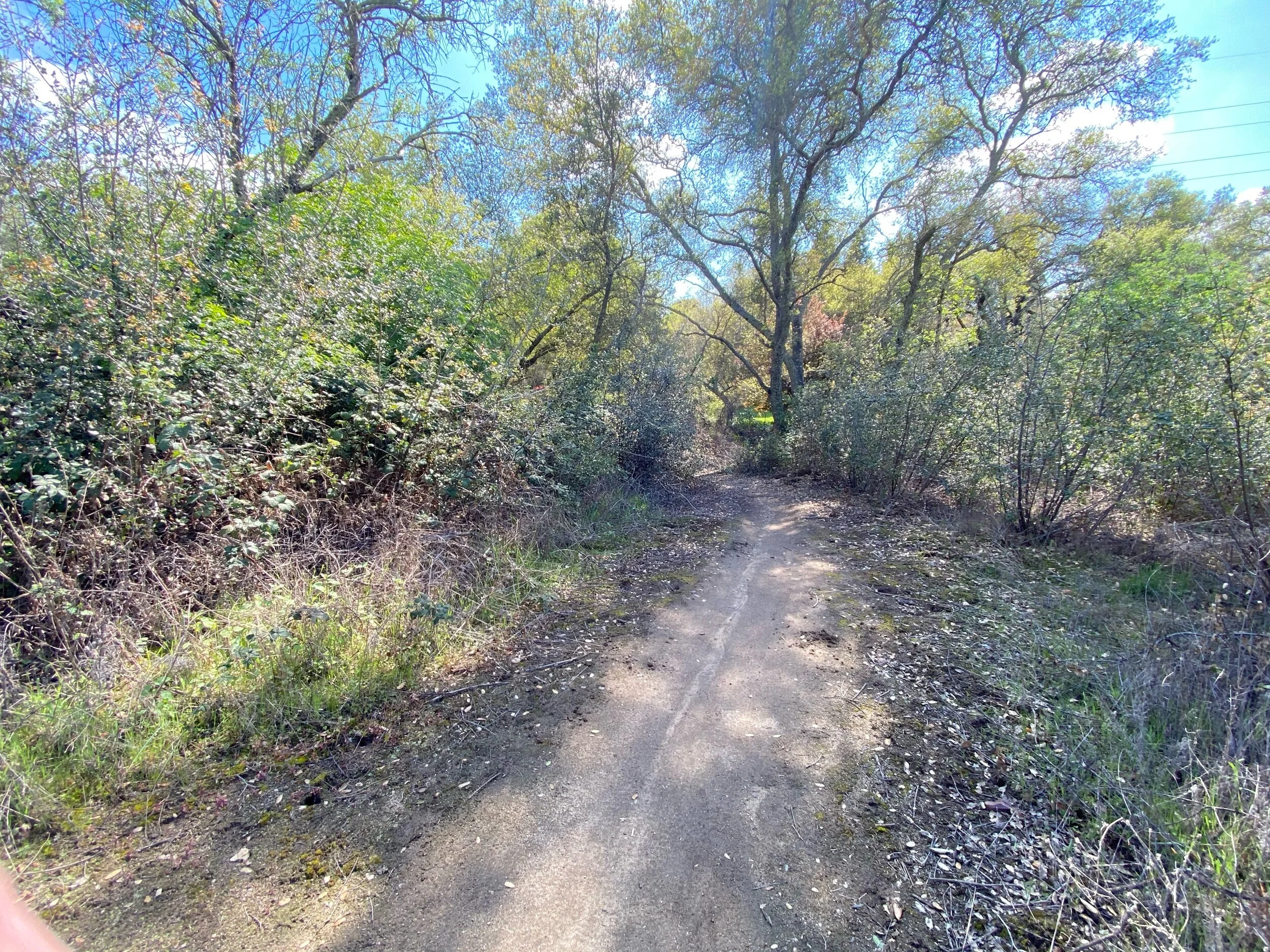 Found an epic trail!