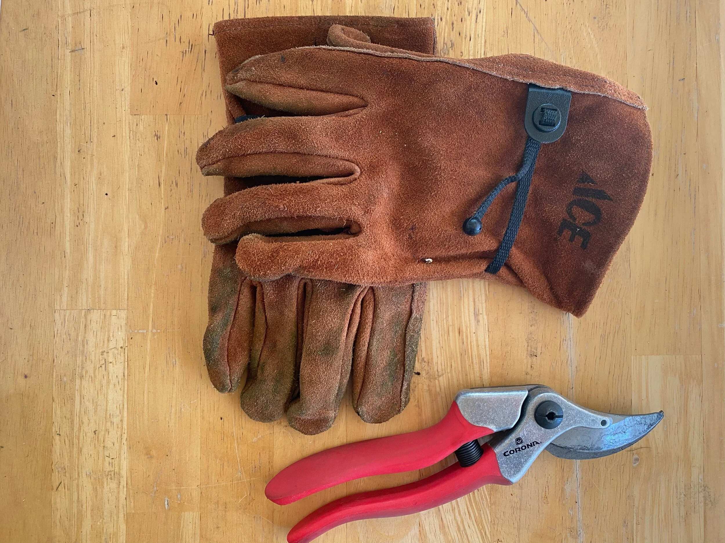 Relaxation in isolation