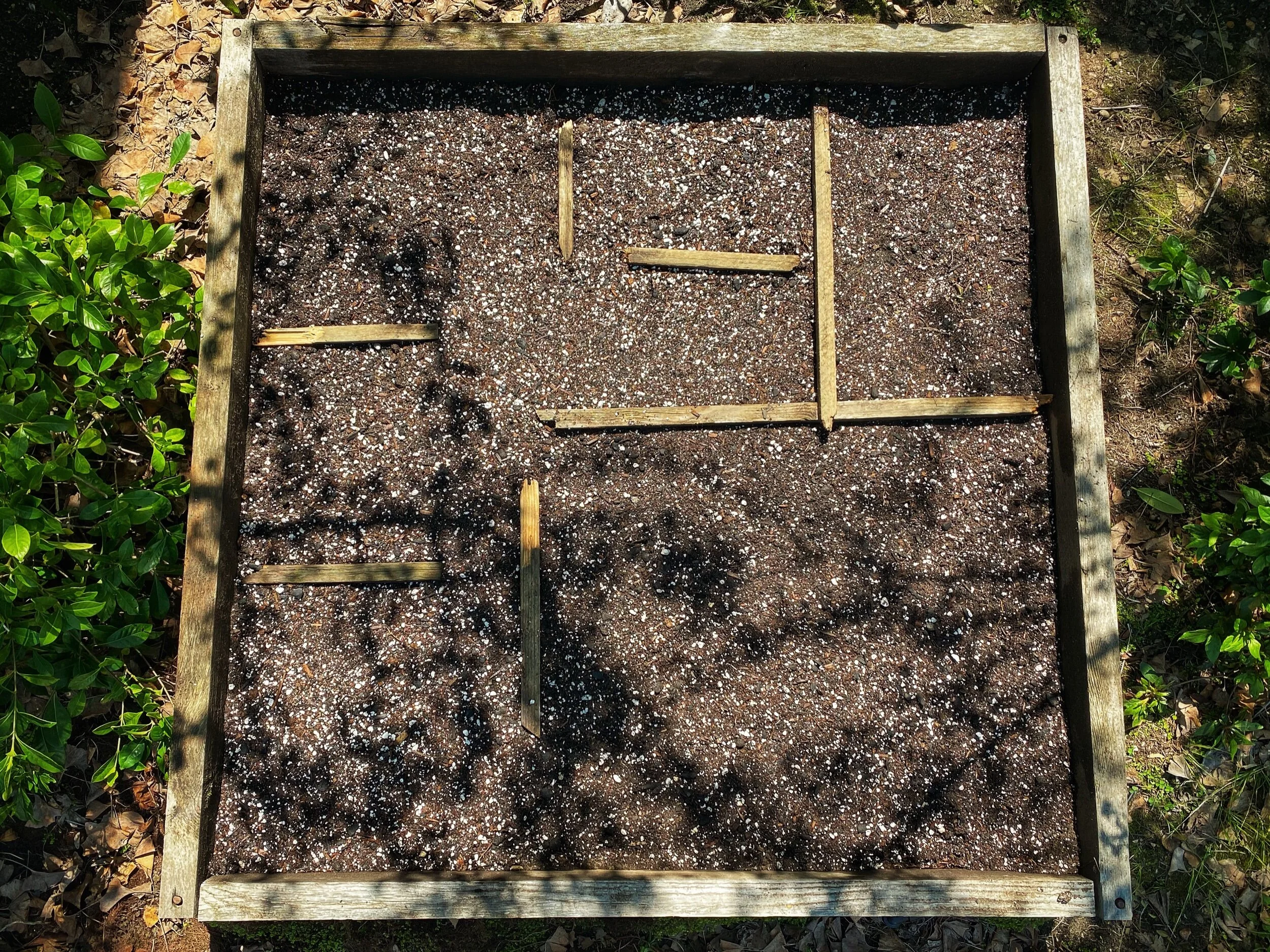 Starting From Scratch