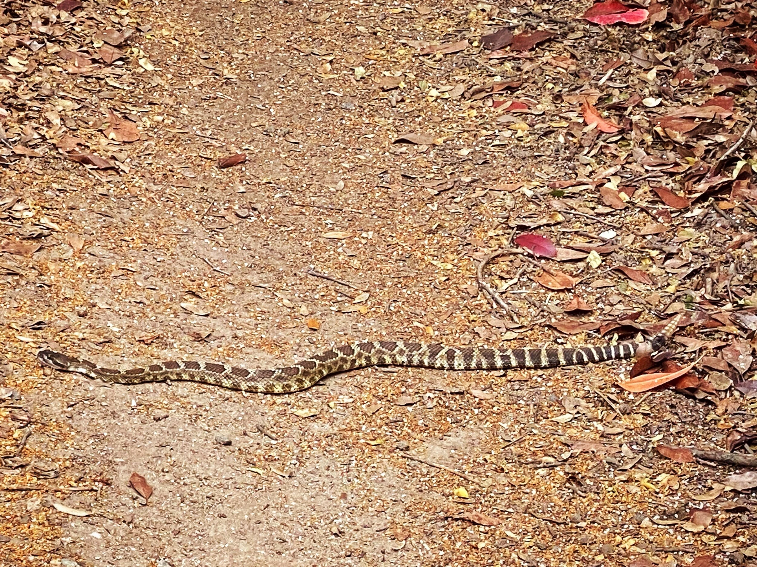 Hurdle or Detour?!?!