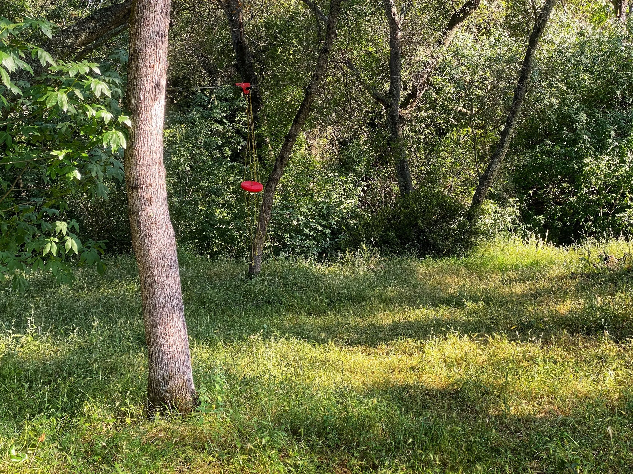 Better Day....I saw the lake.