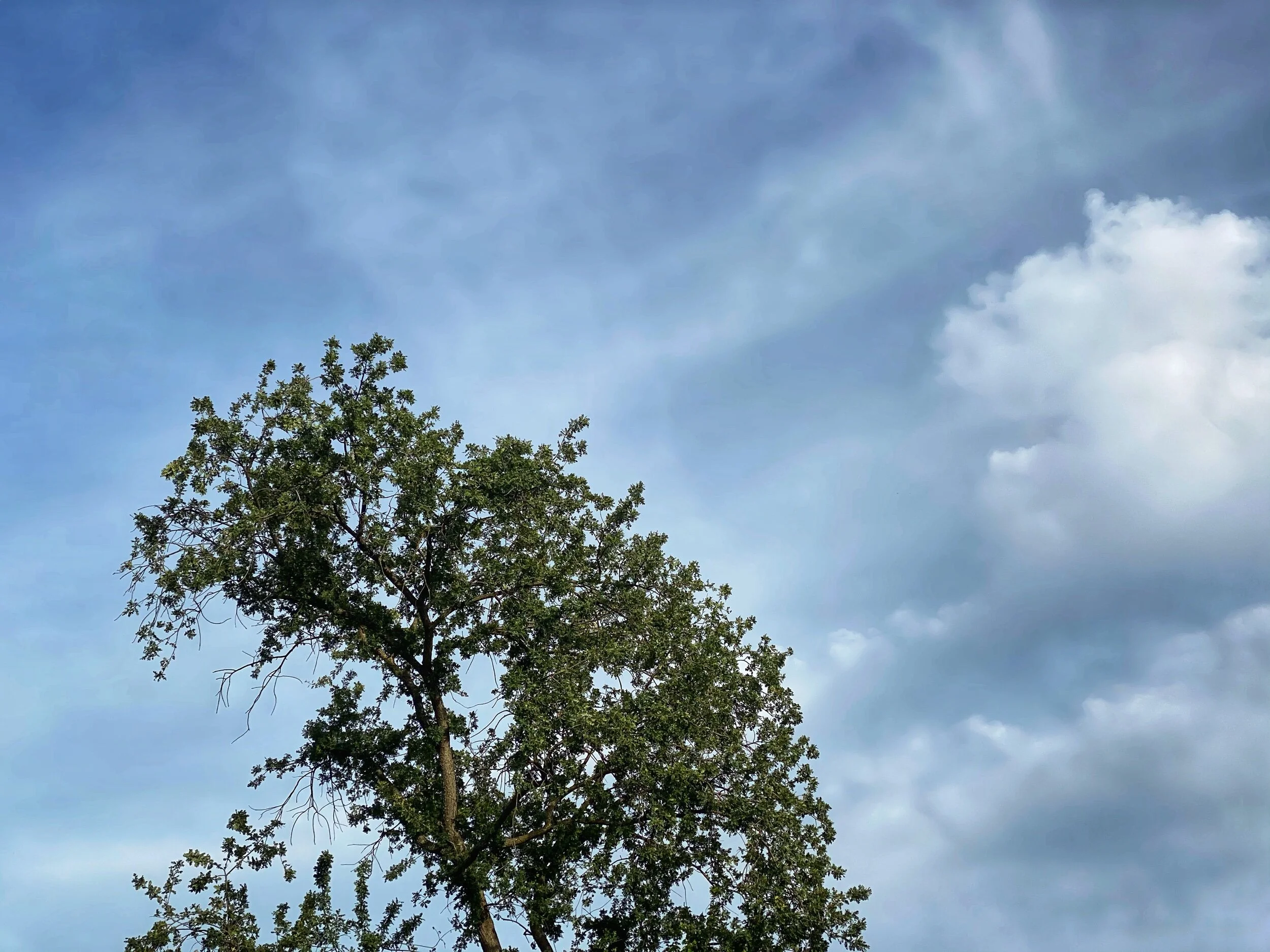 94°F, I think I’ll go for a workout run...