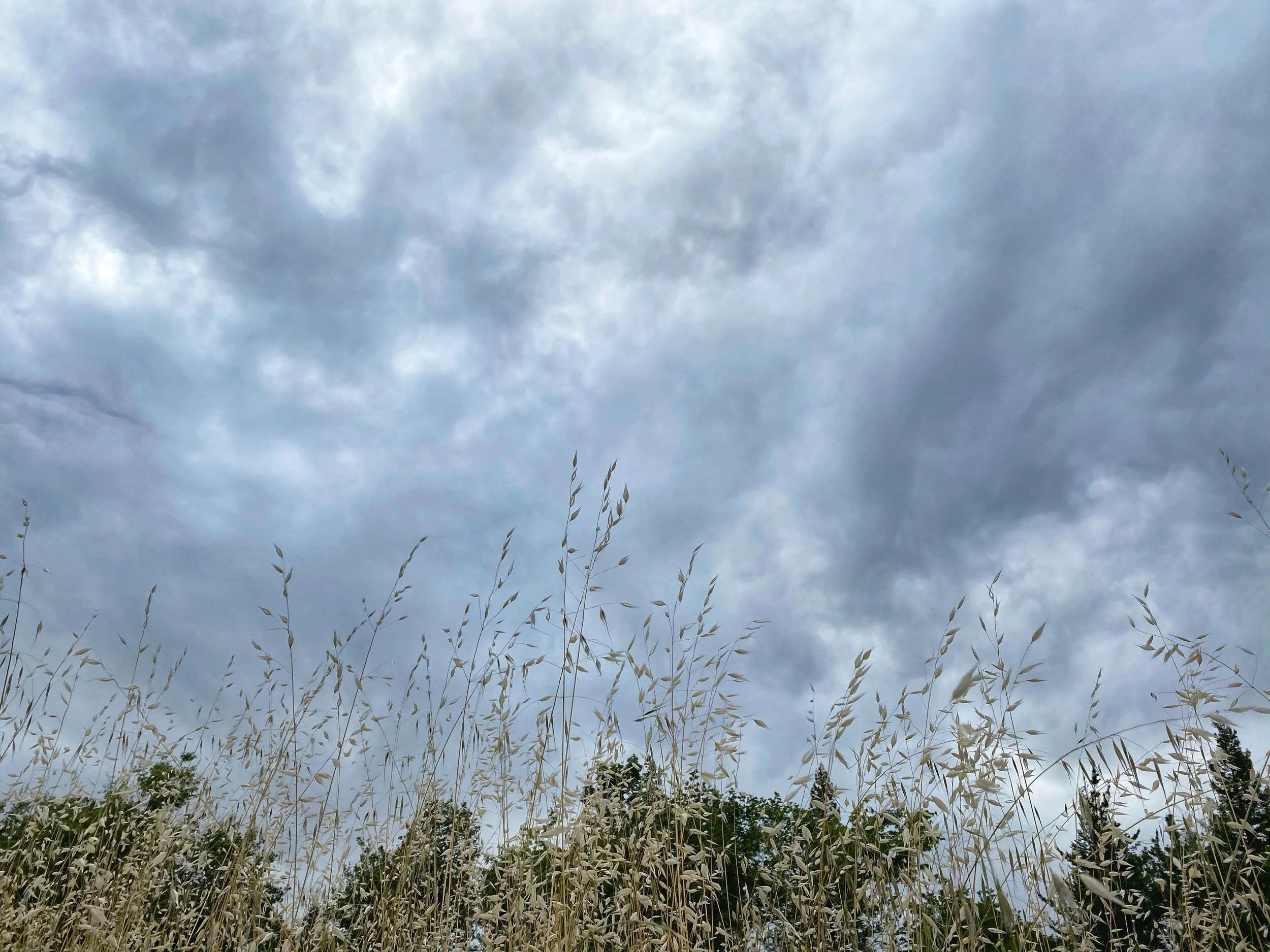 Taking It To The Streets