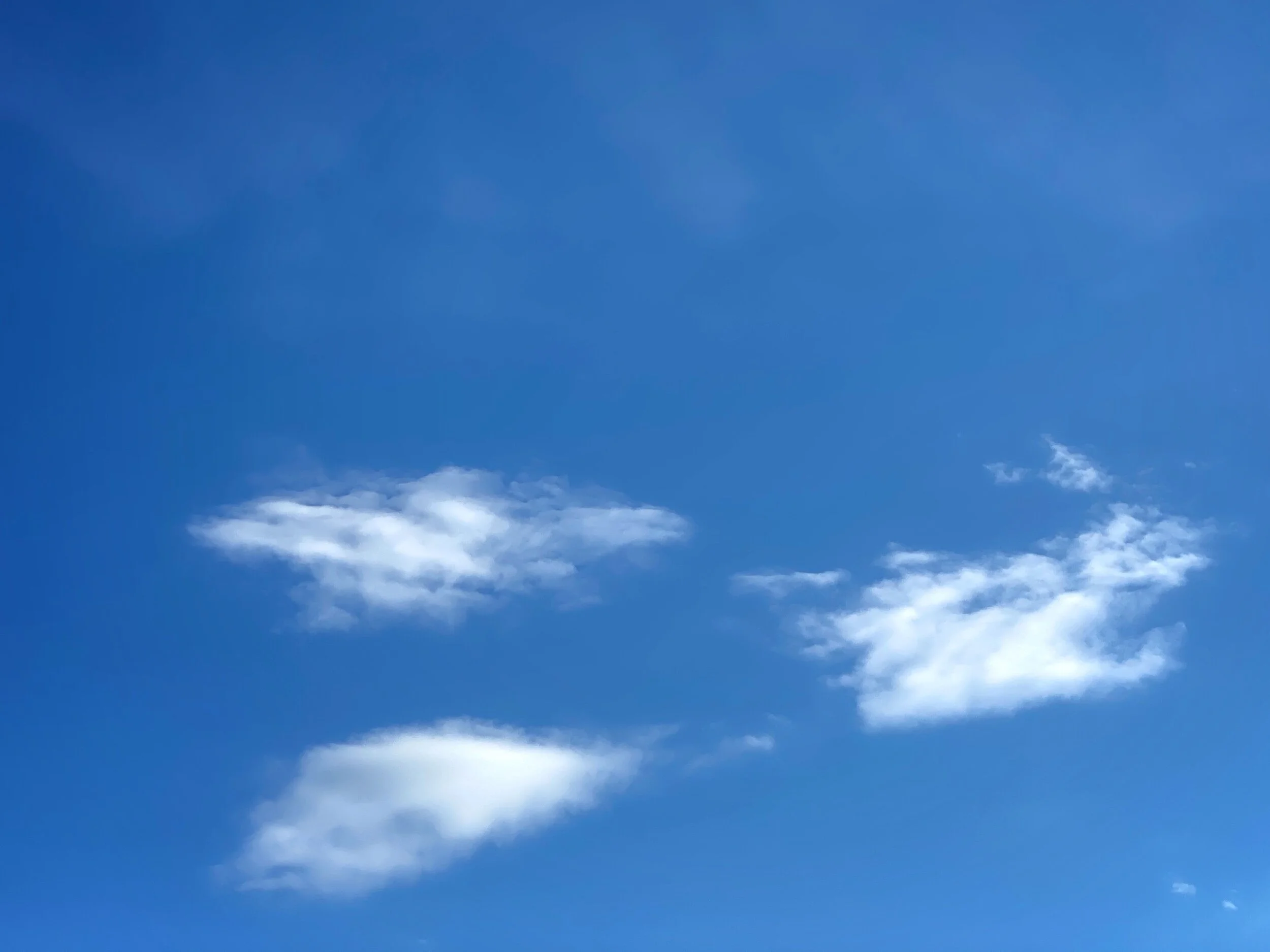 Windy, Hilly Workout. Fun.