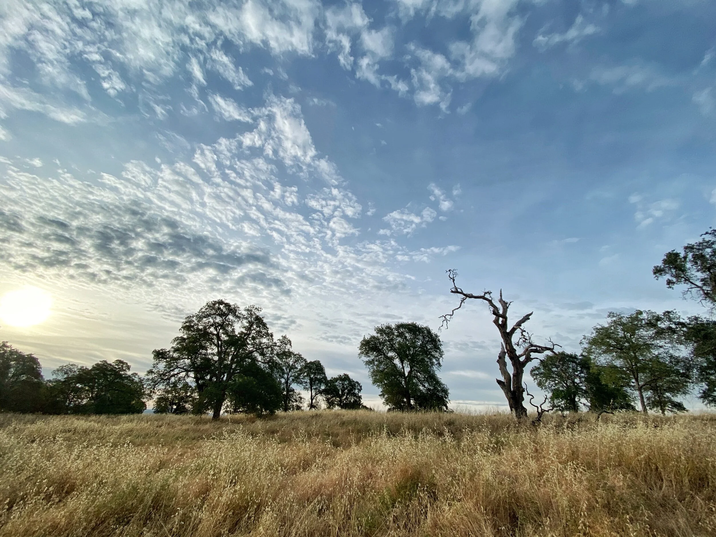 The Lake Is Open Again