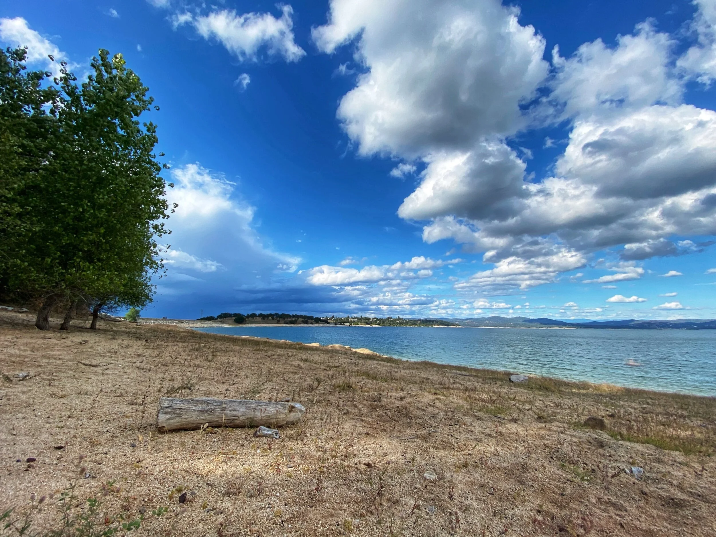 Love Me Some Thunder