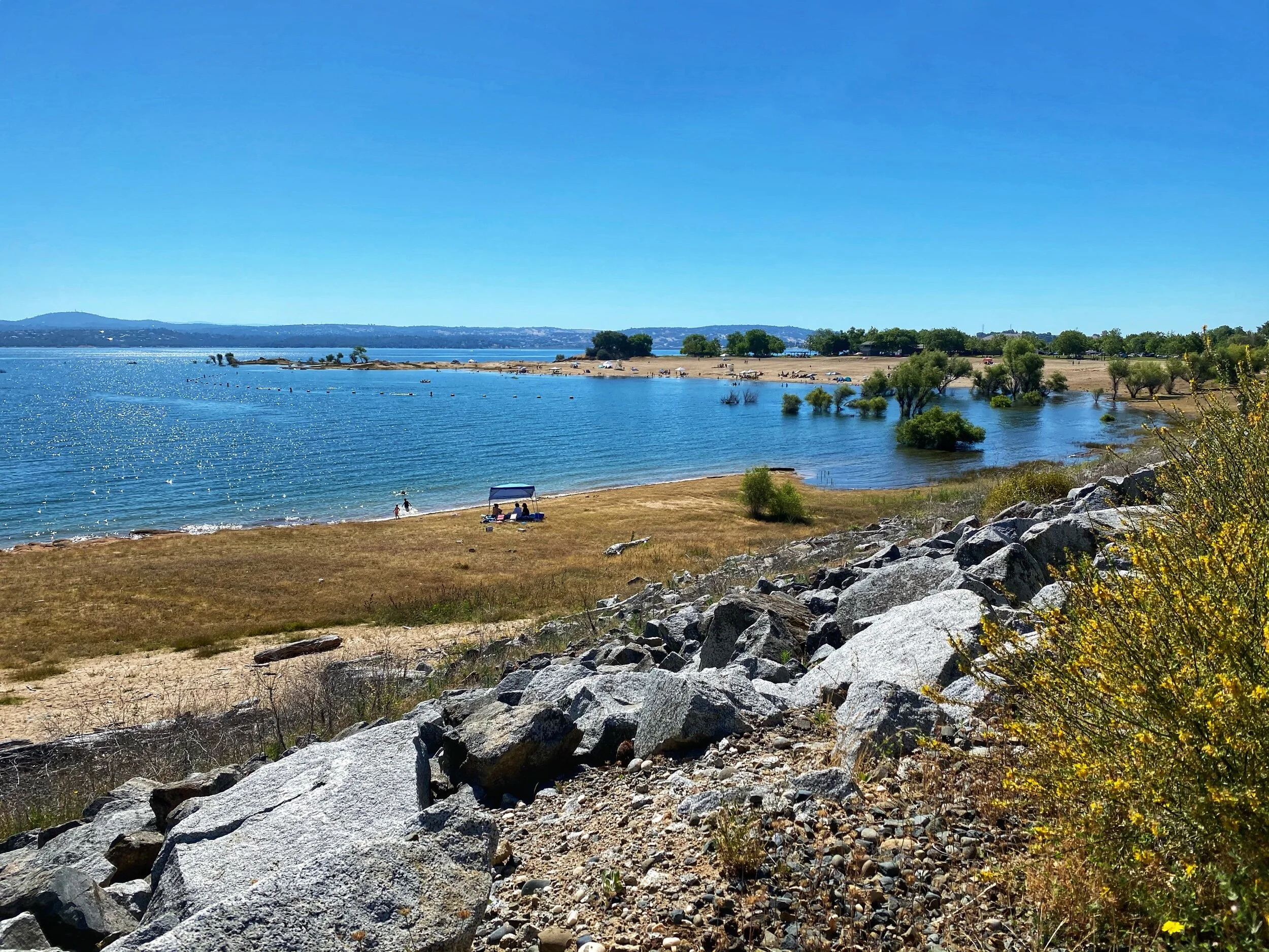 It Feels Like Summer