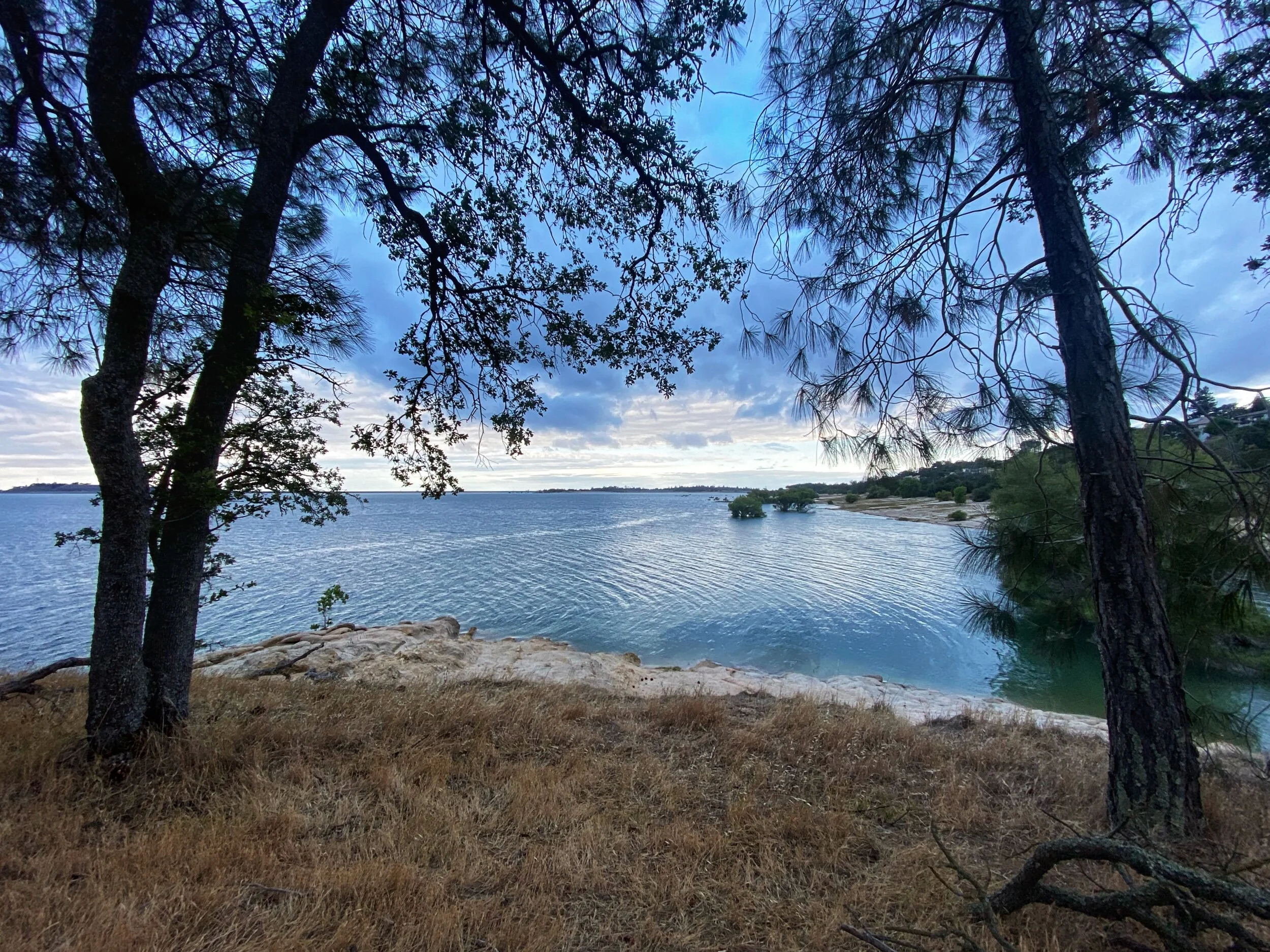 Quiet Morning, No Snakes!!!