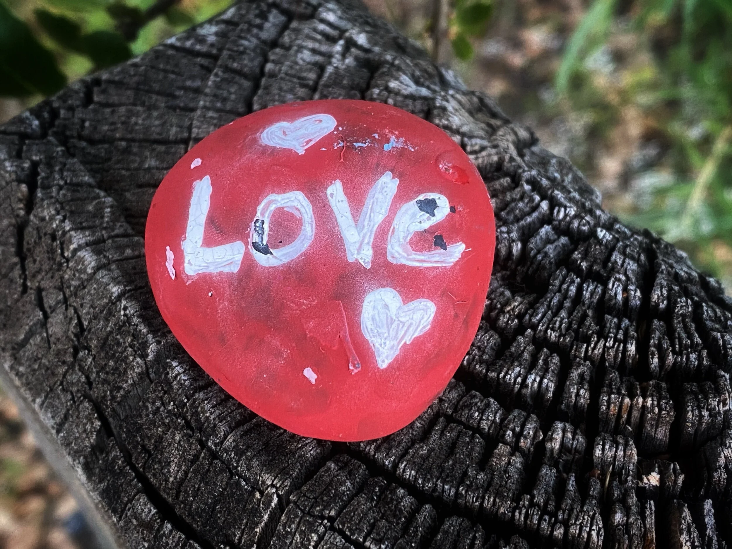 Rain, Love and Baby Turkeys.
