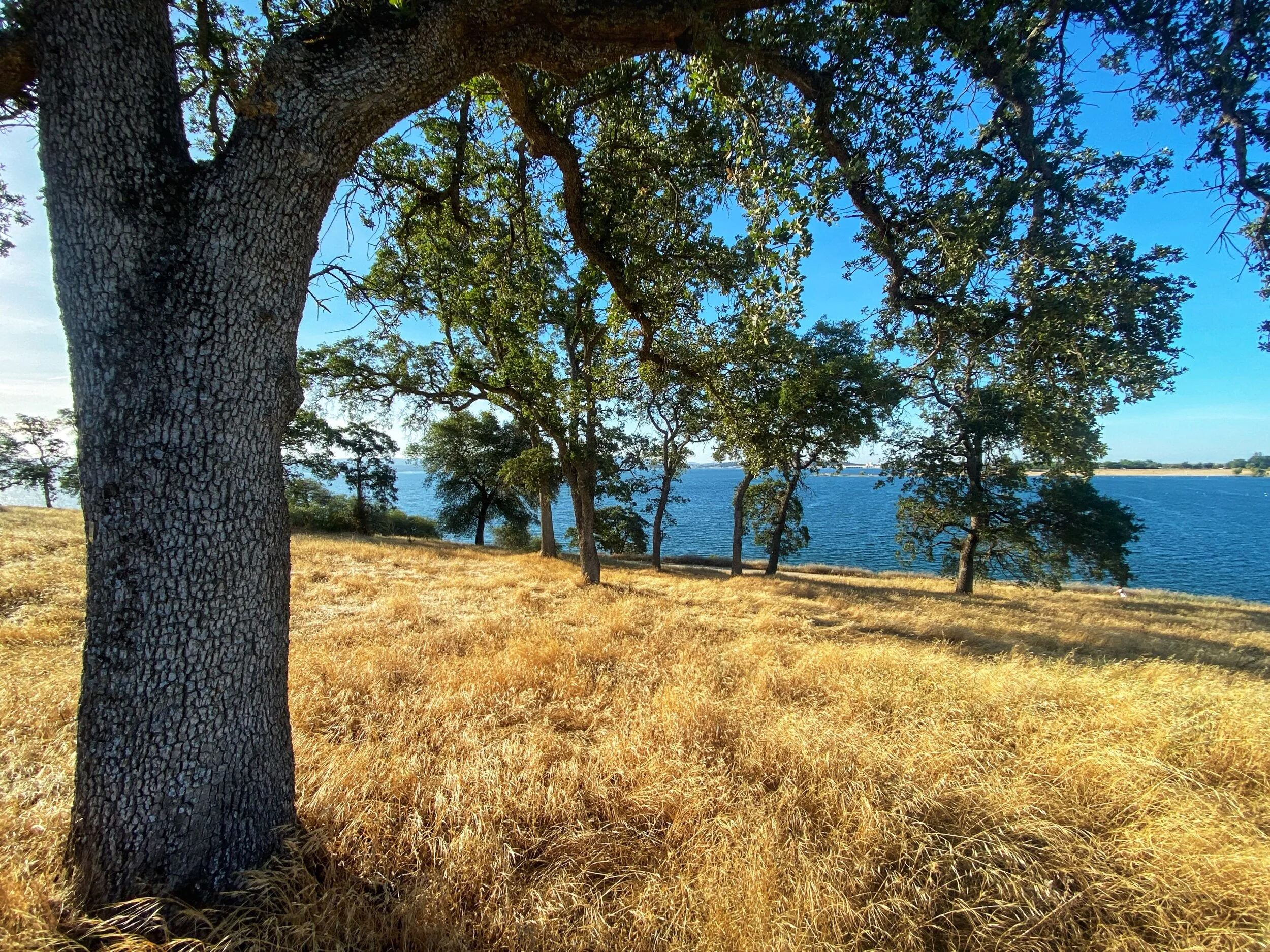 Back To The Good Stuff!