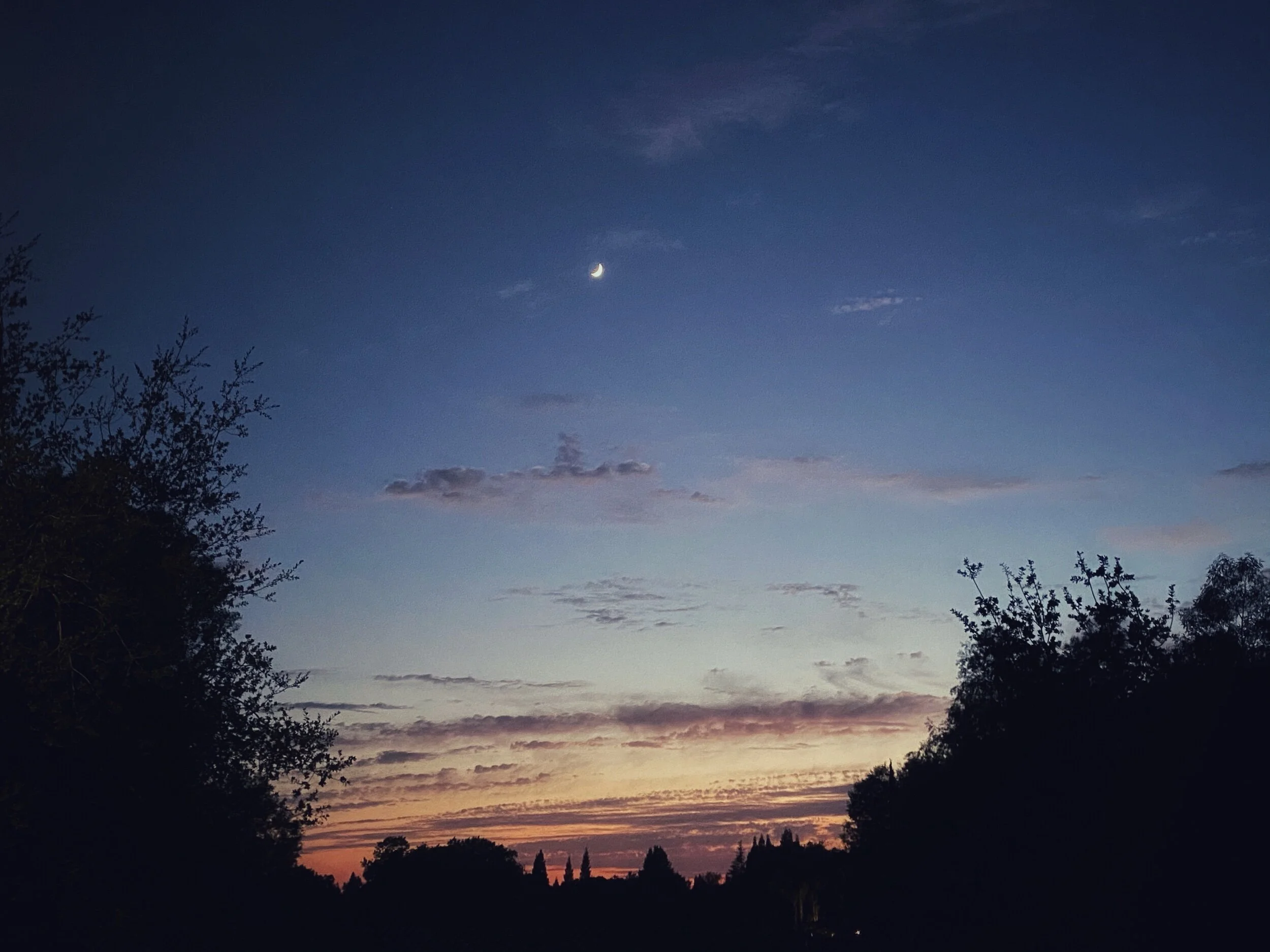 Struggling Through The Heat