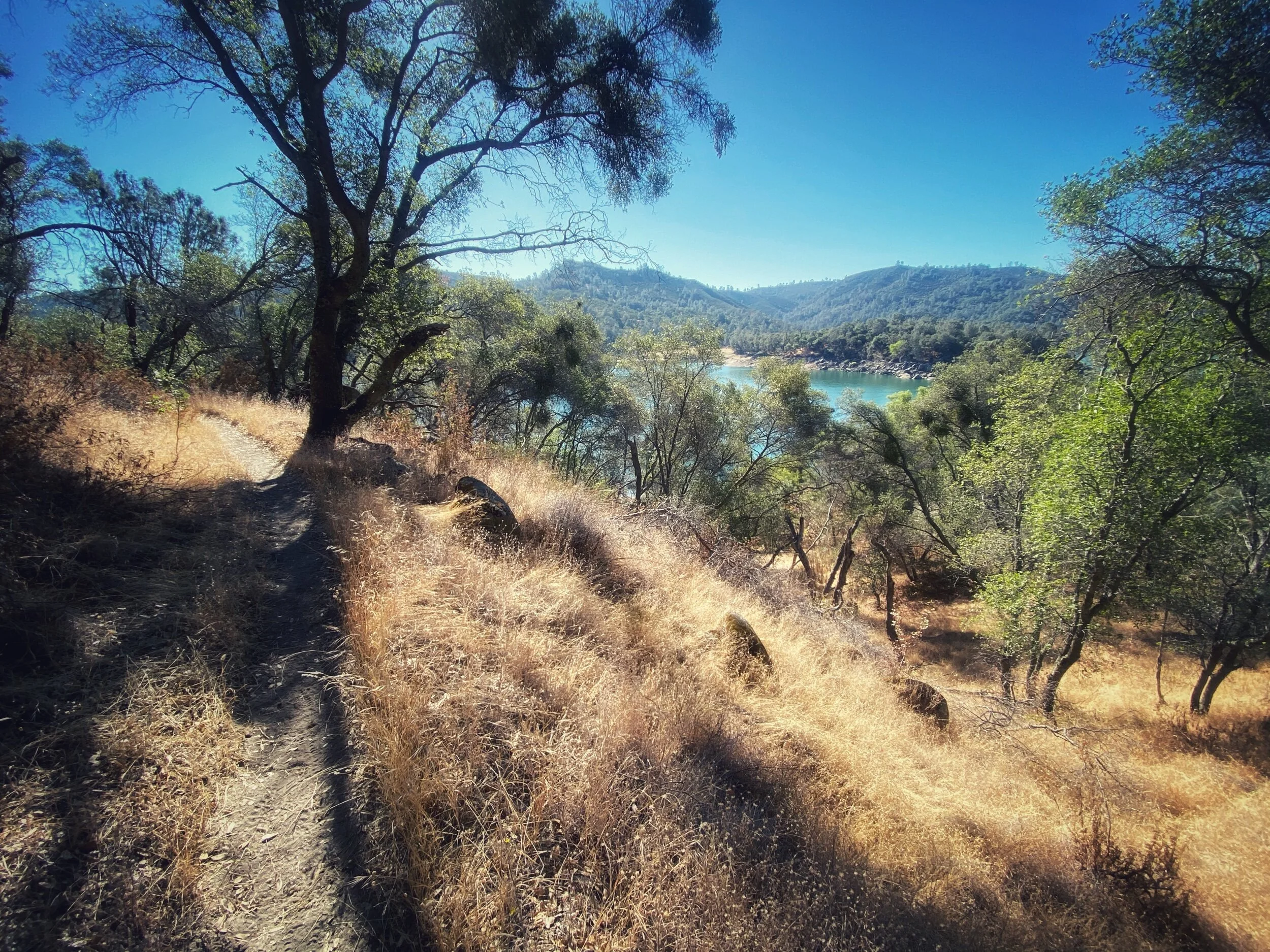 Finish What You Start