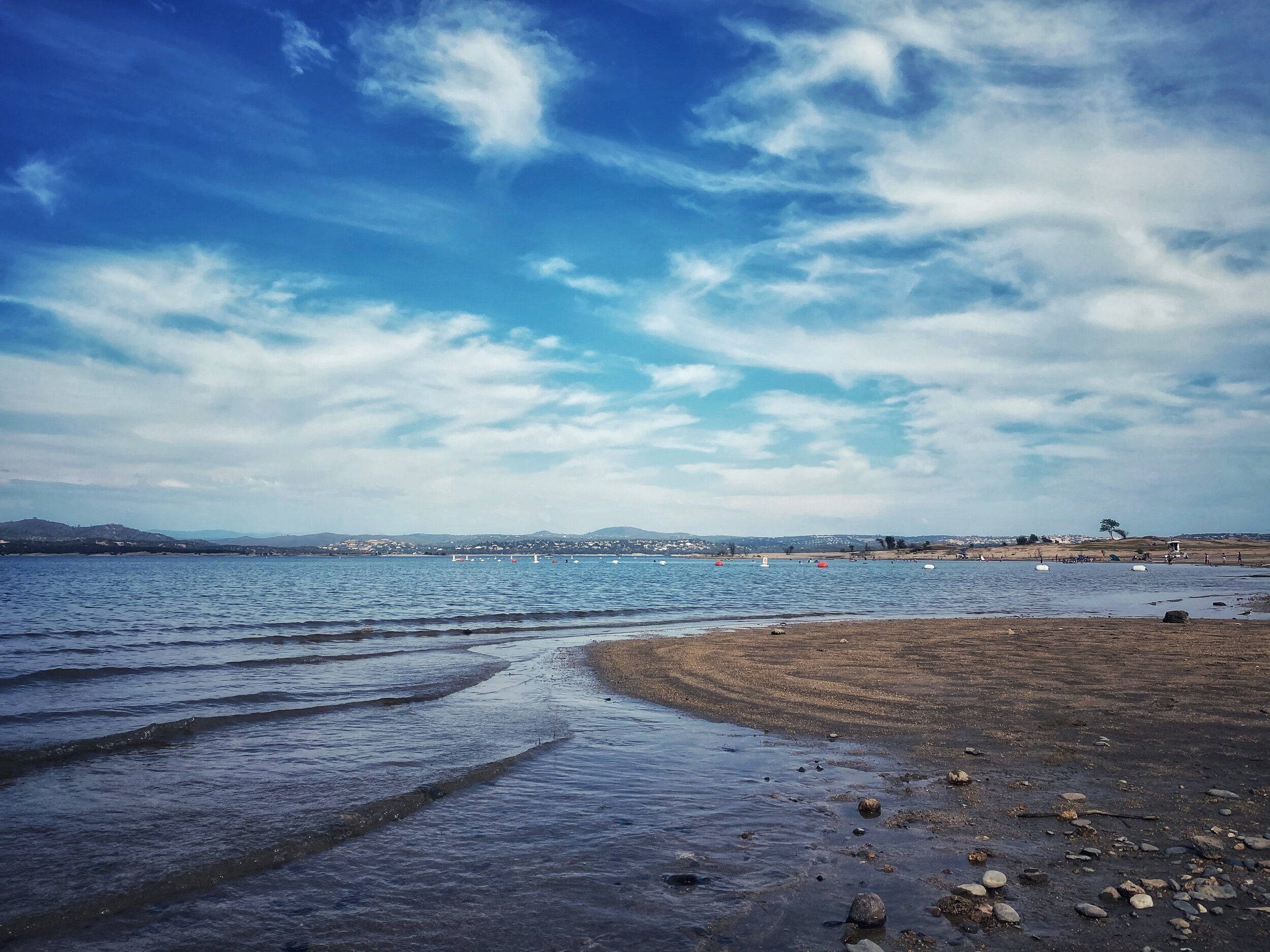 What Are My Workouts