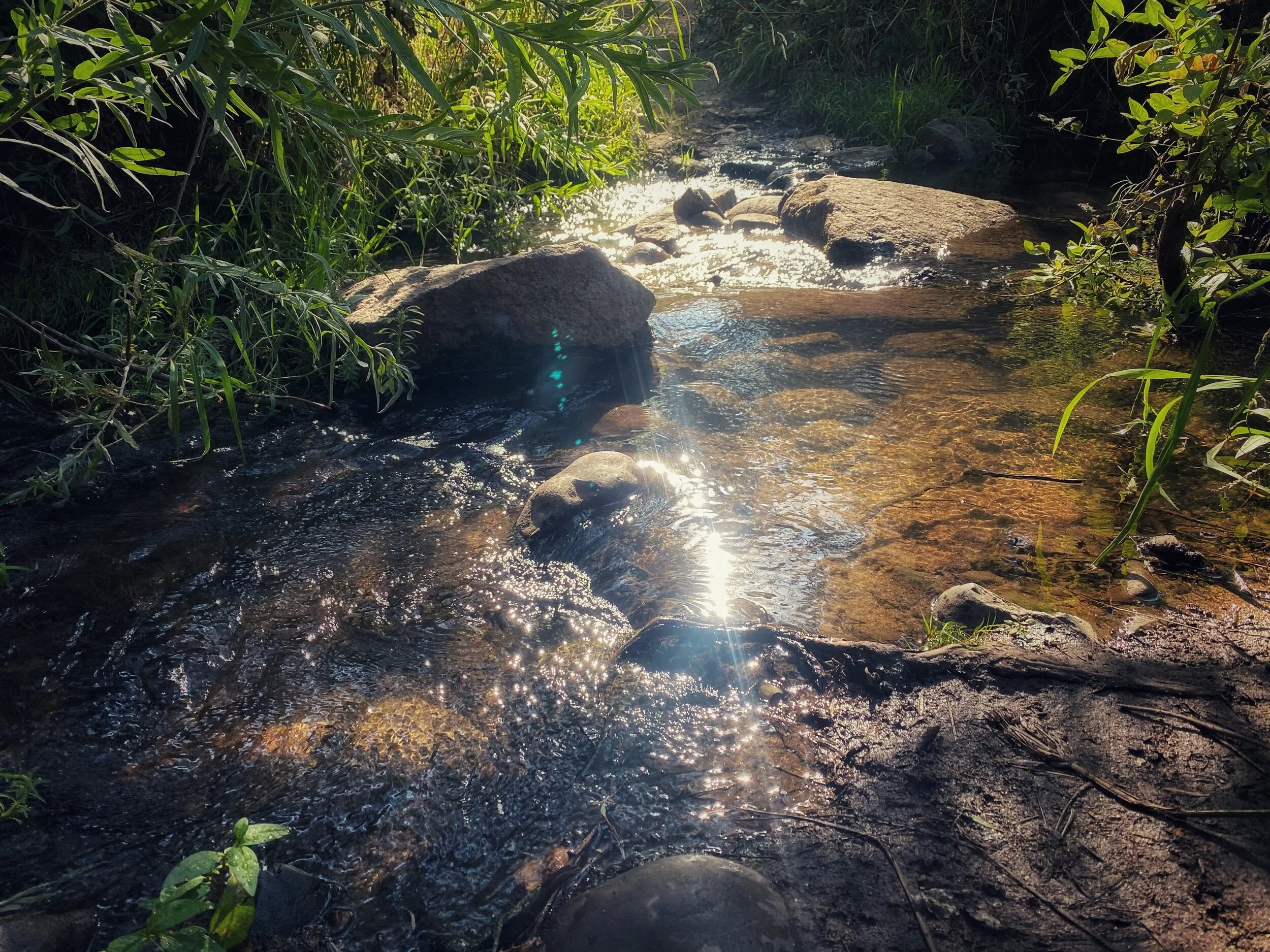 Start Of Taper Time...May Delay