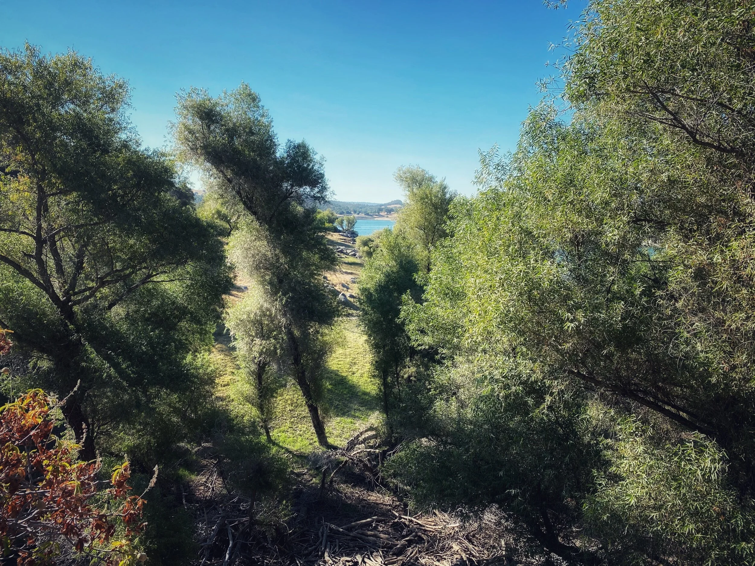 I Brought Enough Water!!!