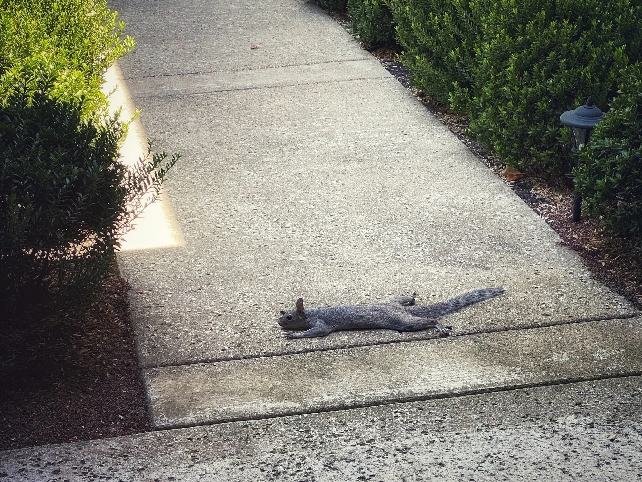 What Has 2020 Taught Me?