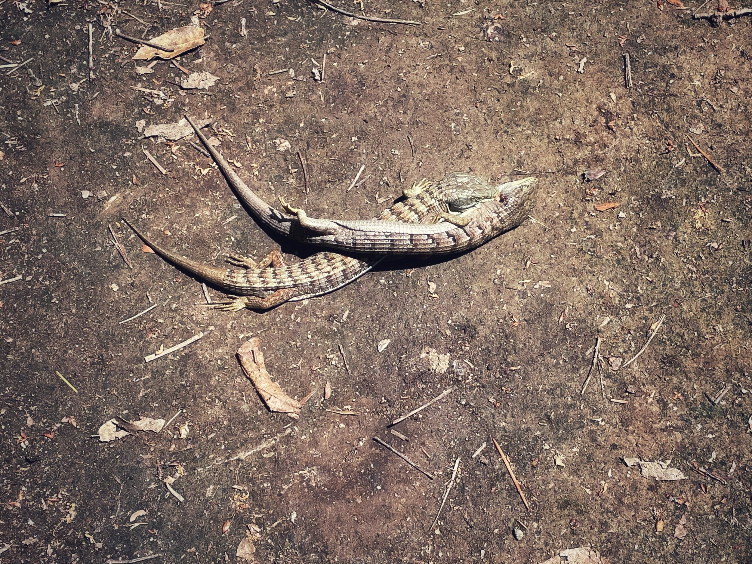 A Reminder: The World Is Brutal