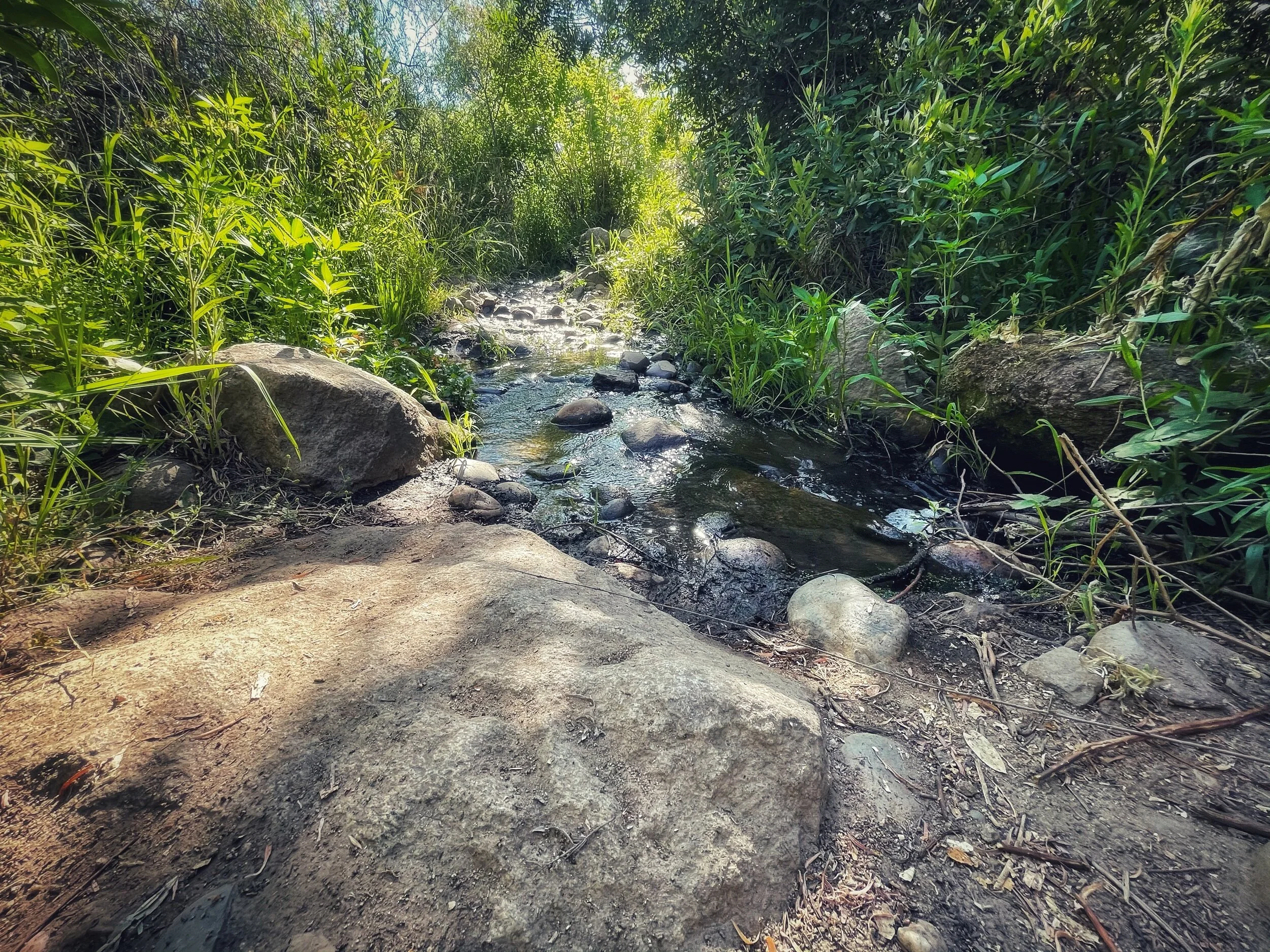 Summer is Official Here