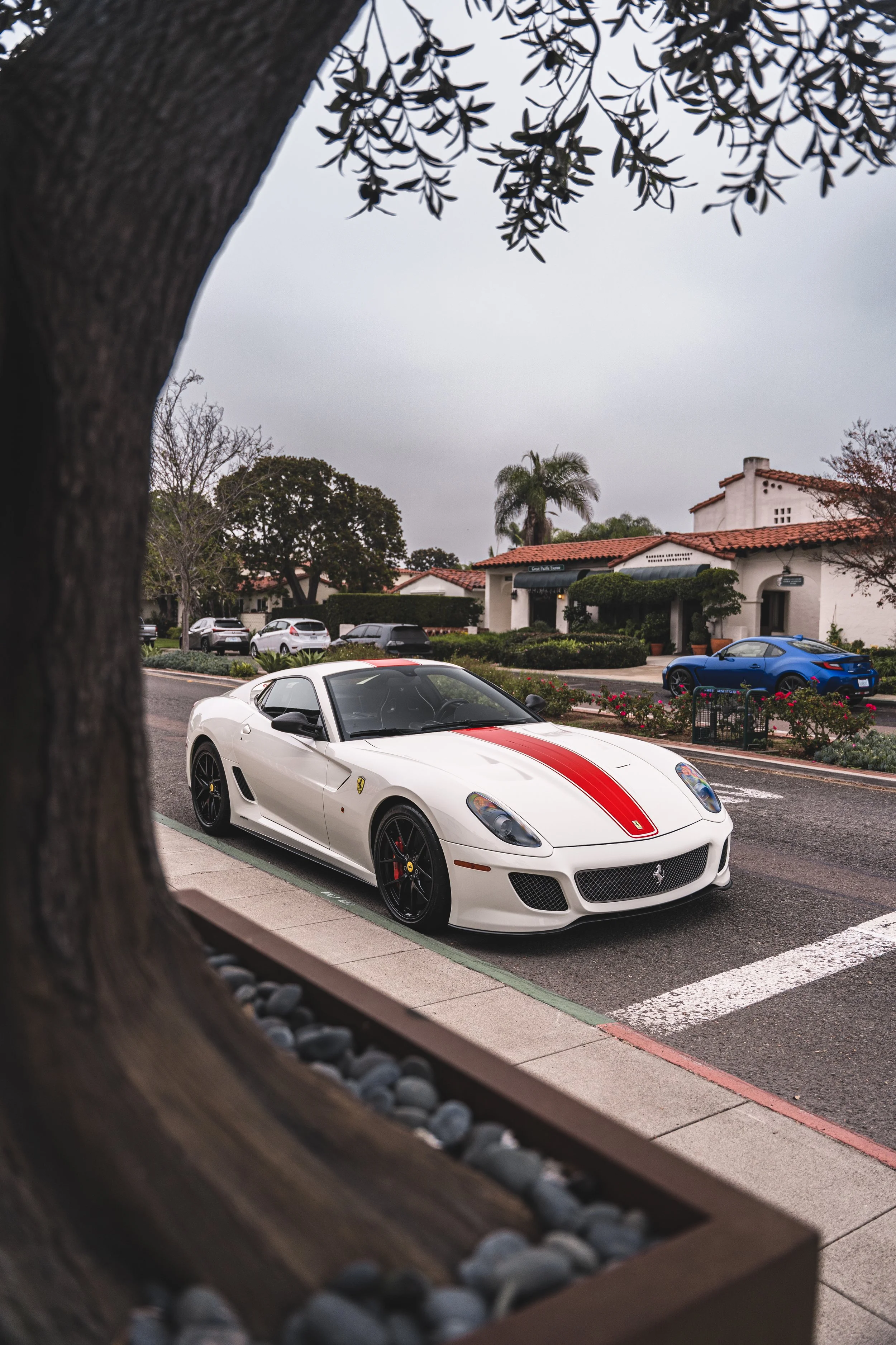 599 GTO-12.jpg
