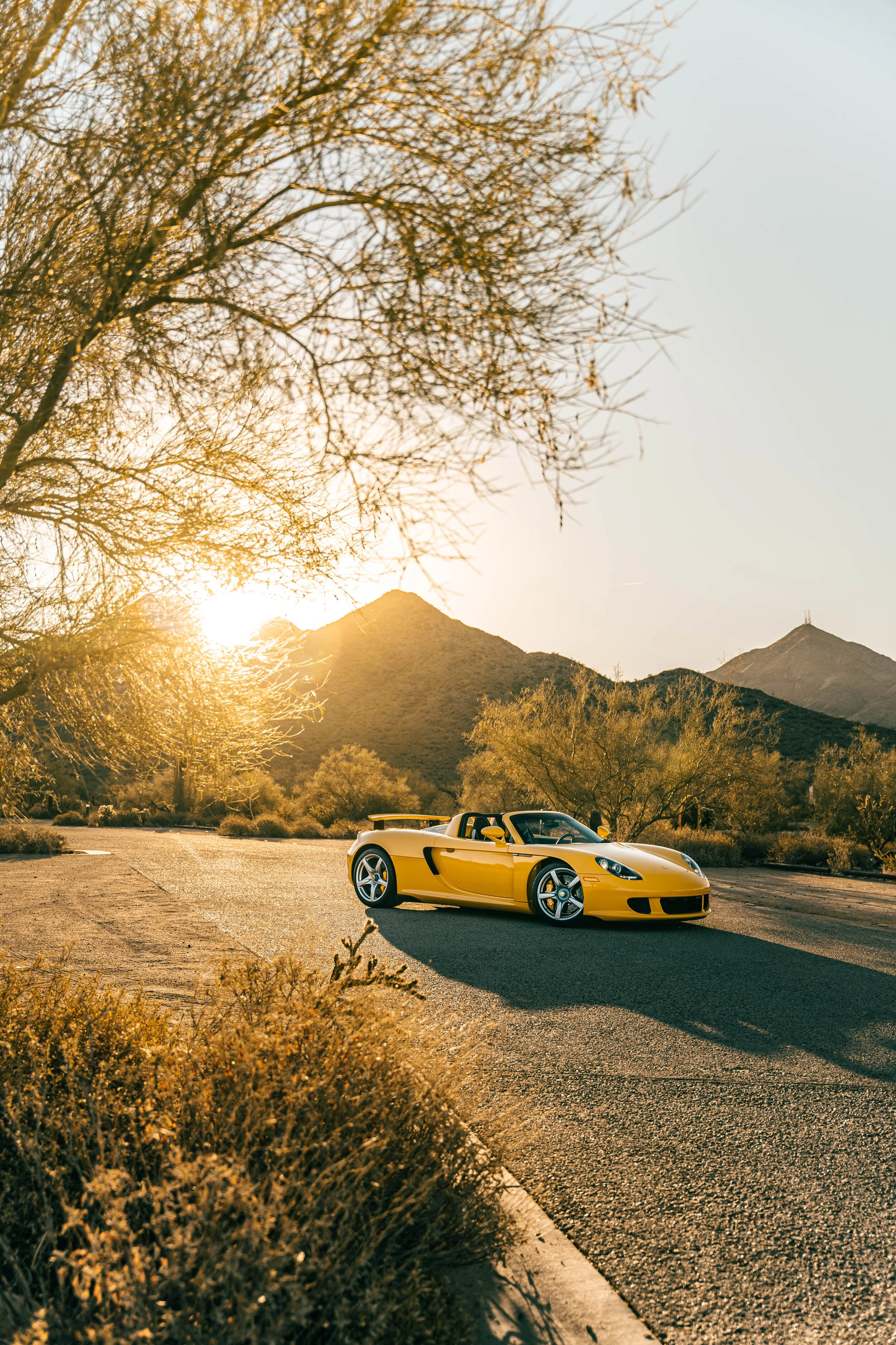 Yellow CGT-62.jpg