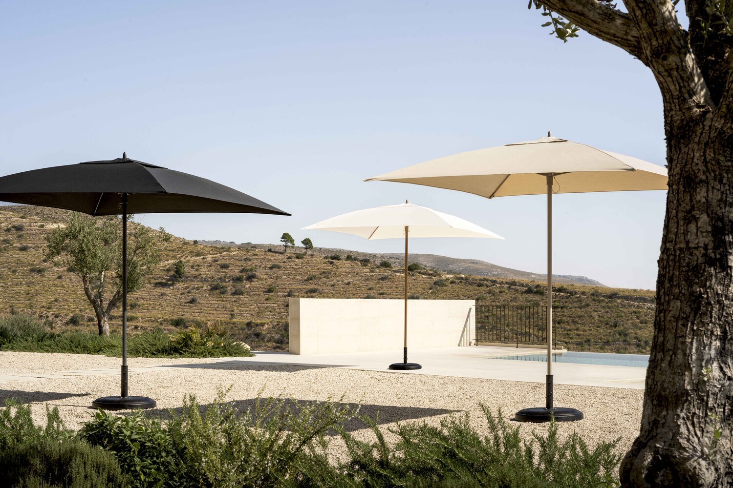Parasols TULI