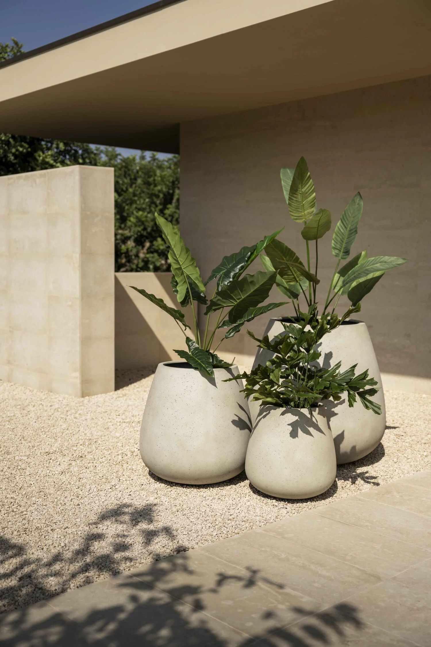 Pots CUMINO CONICO