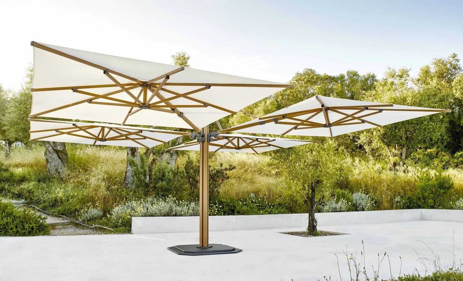 Parasol JCP.5