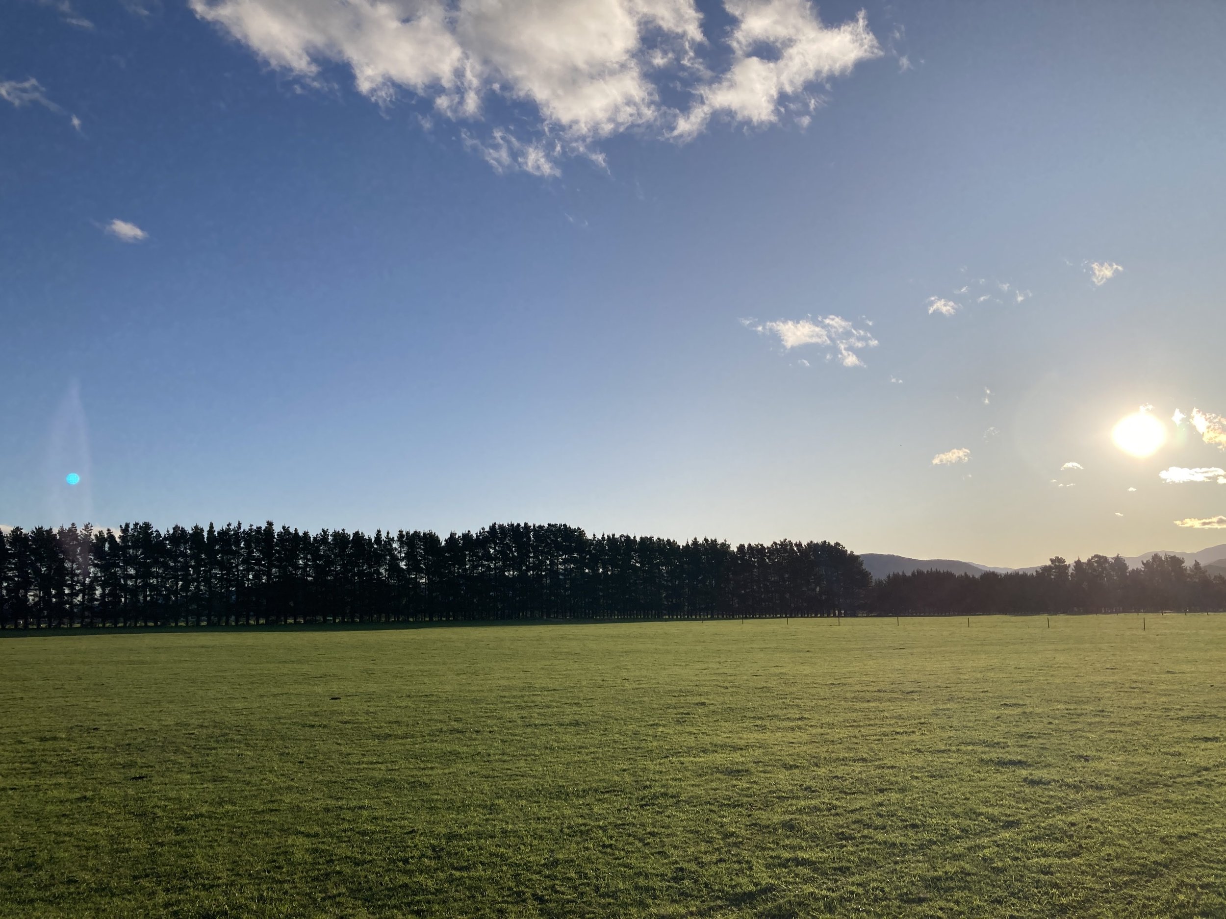 WAINGAWA SOLAR FARM