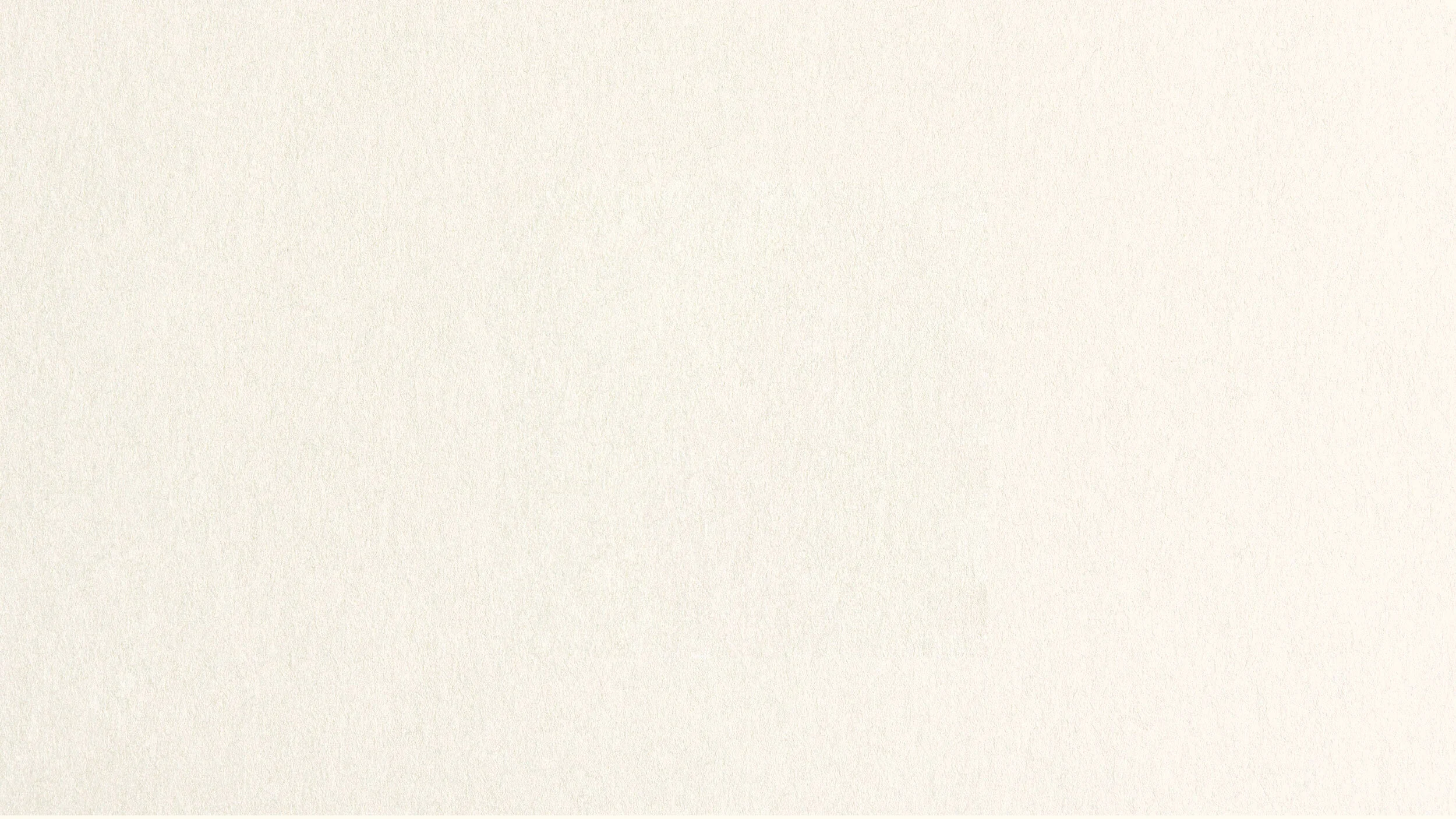 WEB-BACKGROUND.jpg