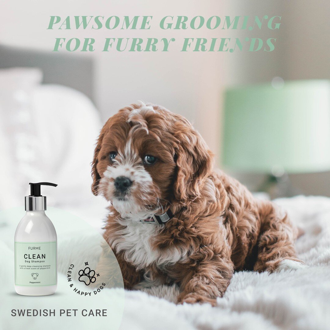 Furme Clean Dog Shampoo with a fresh
scent of peppermint includes Sage and Aloe Vera for a
gentle deep cleansing and nourishing effect. The
perfect dog shampoo to keep your best friend clean and
happy in a natural way