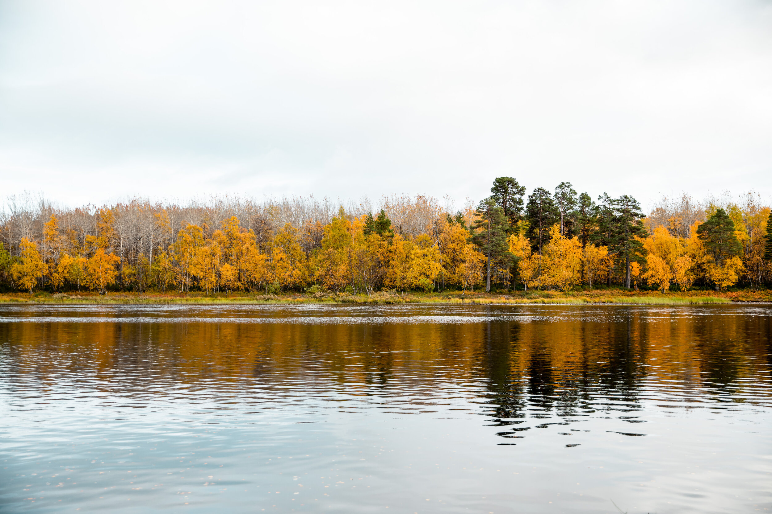 polarauroracabins-3308.jpg