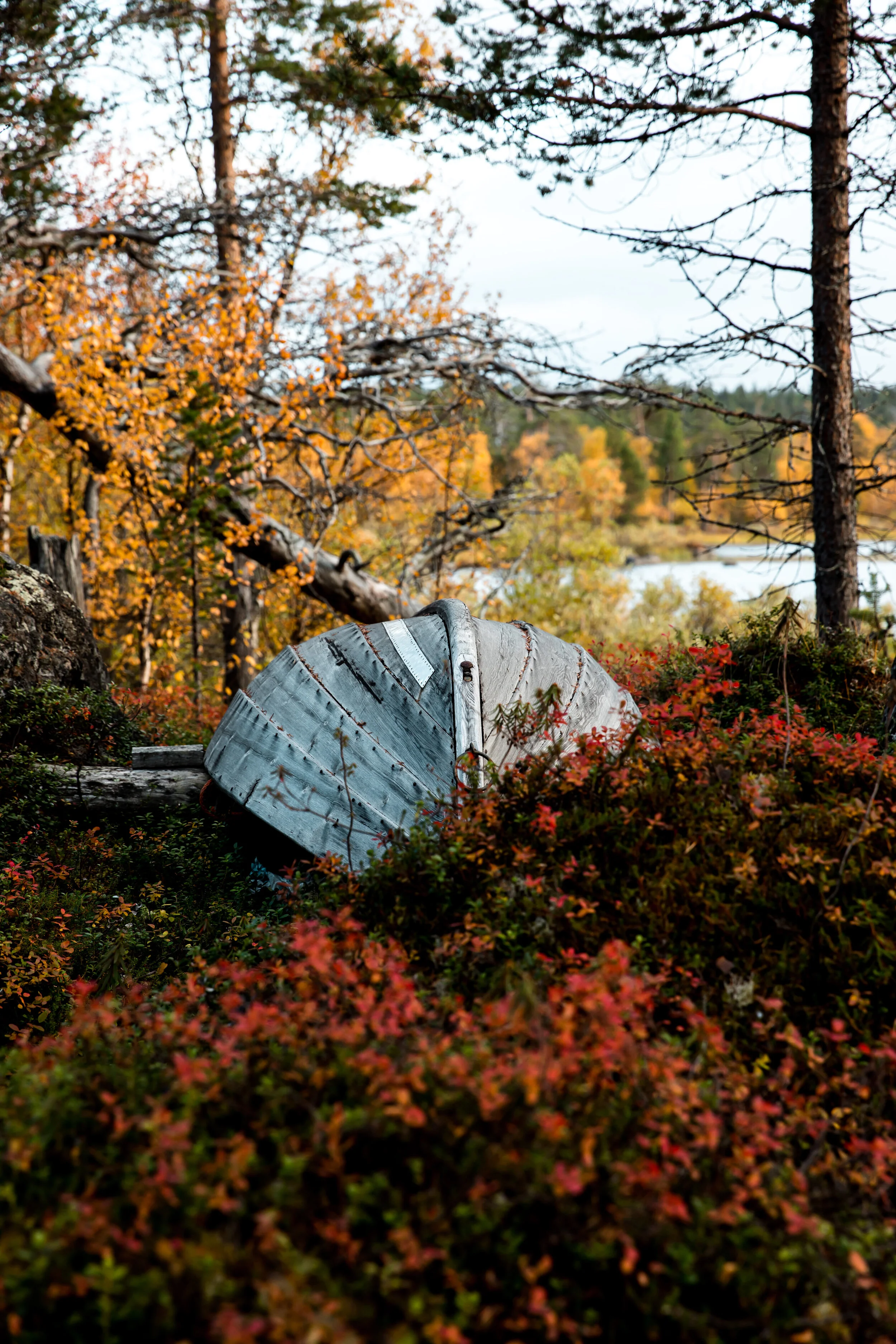 polarauroracabins-3352.jpg