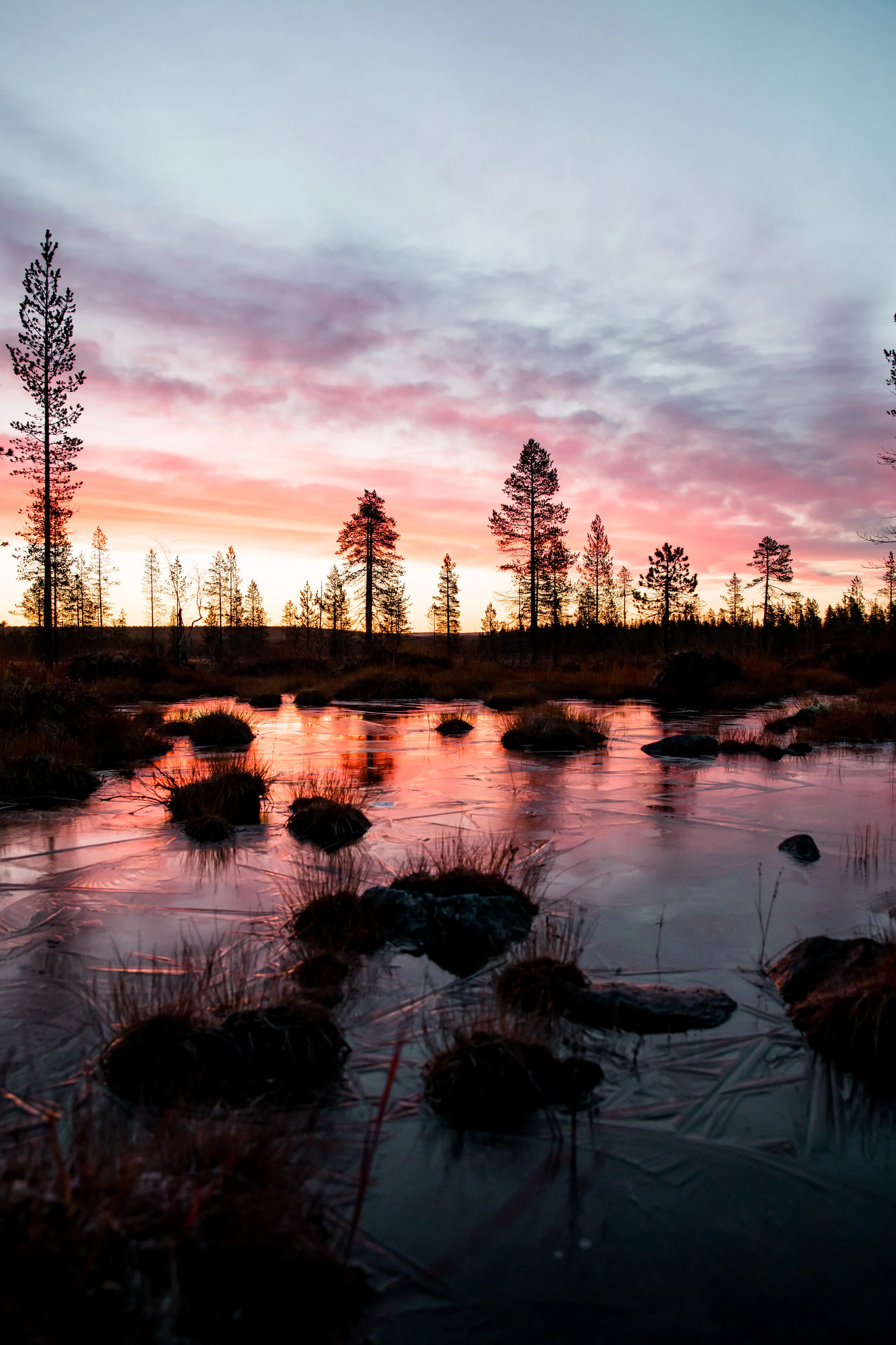 polarauroracabins-4100.jpg