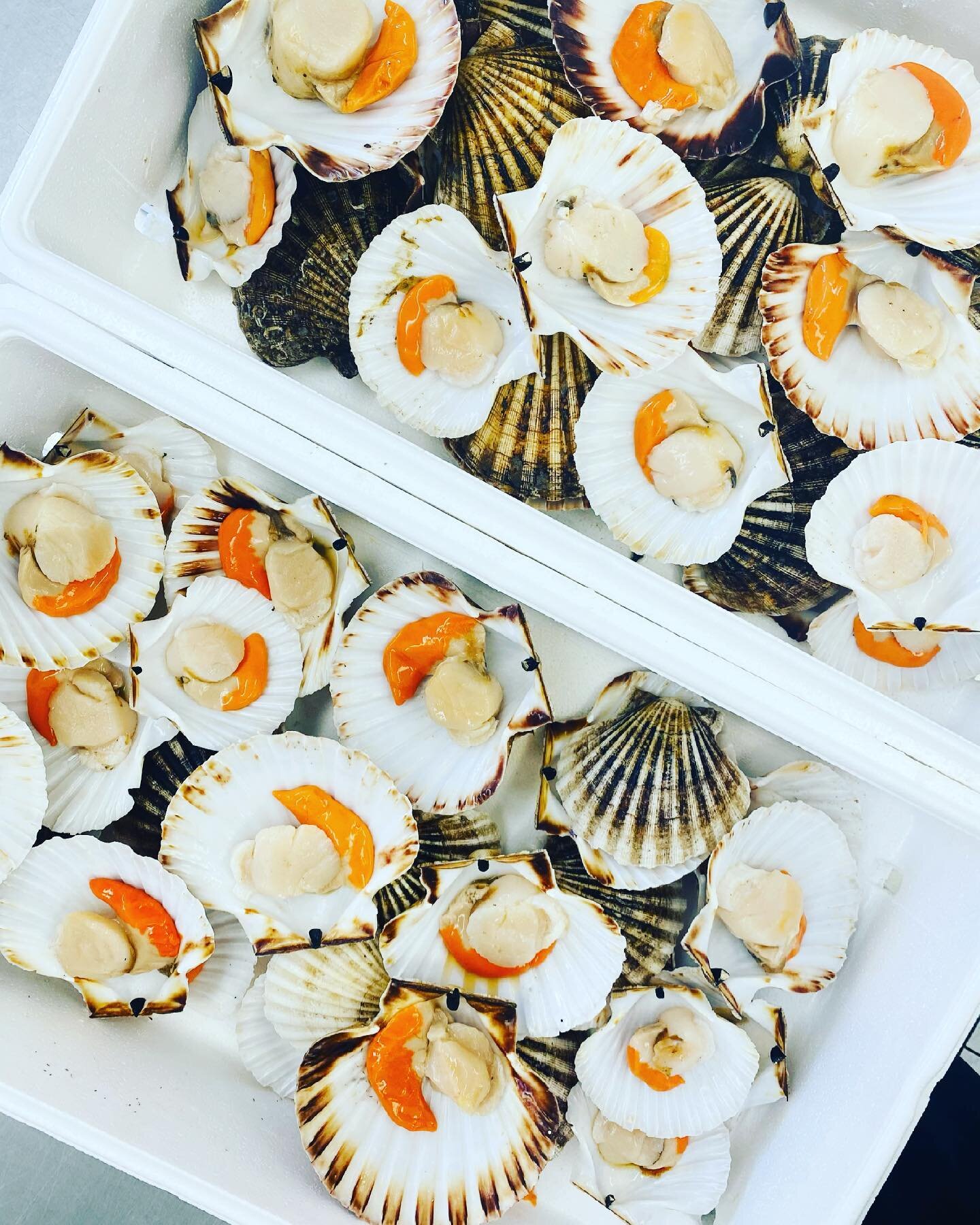 𝑅𝓎𝑒 𝐵𝒶𝓎 𝒮𝒸𝒶𝓁𝓁𝑜𝓅𝓈

Delivered to our door, now prepped &amp; ready for today;  our first wedding of the season ! So exciting &amp; loads more pictures to follow later !
@chapmans_fish 

#scallops 
#weddingsofinstagram
#weddingseason
#wedd