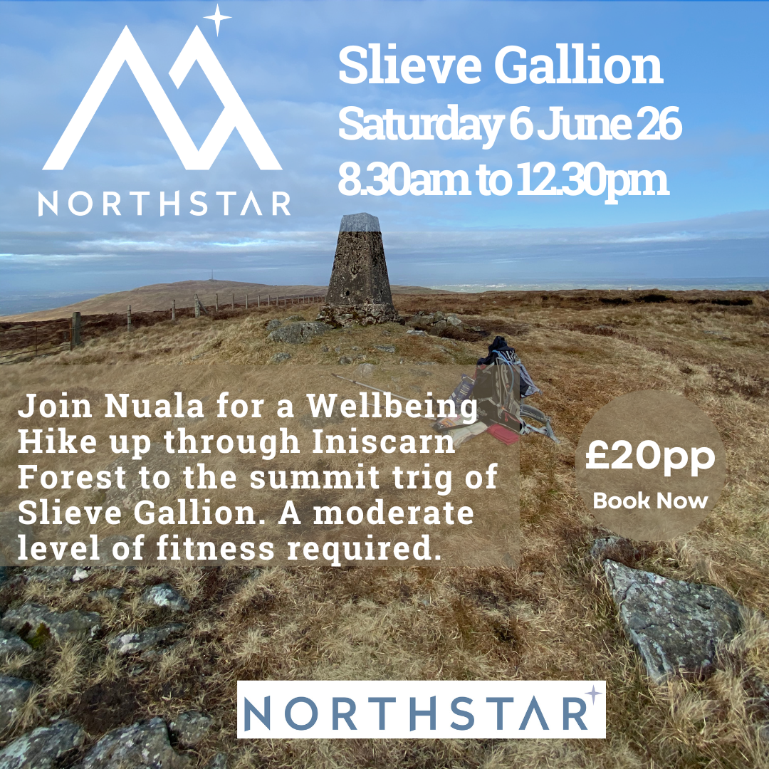 Slieve Gallion.png