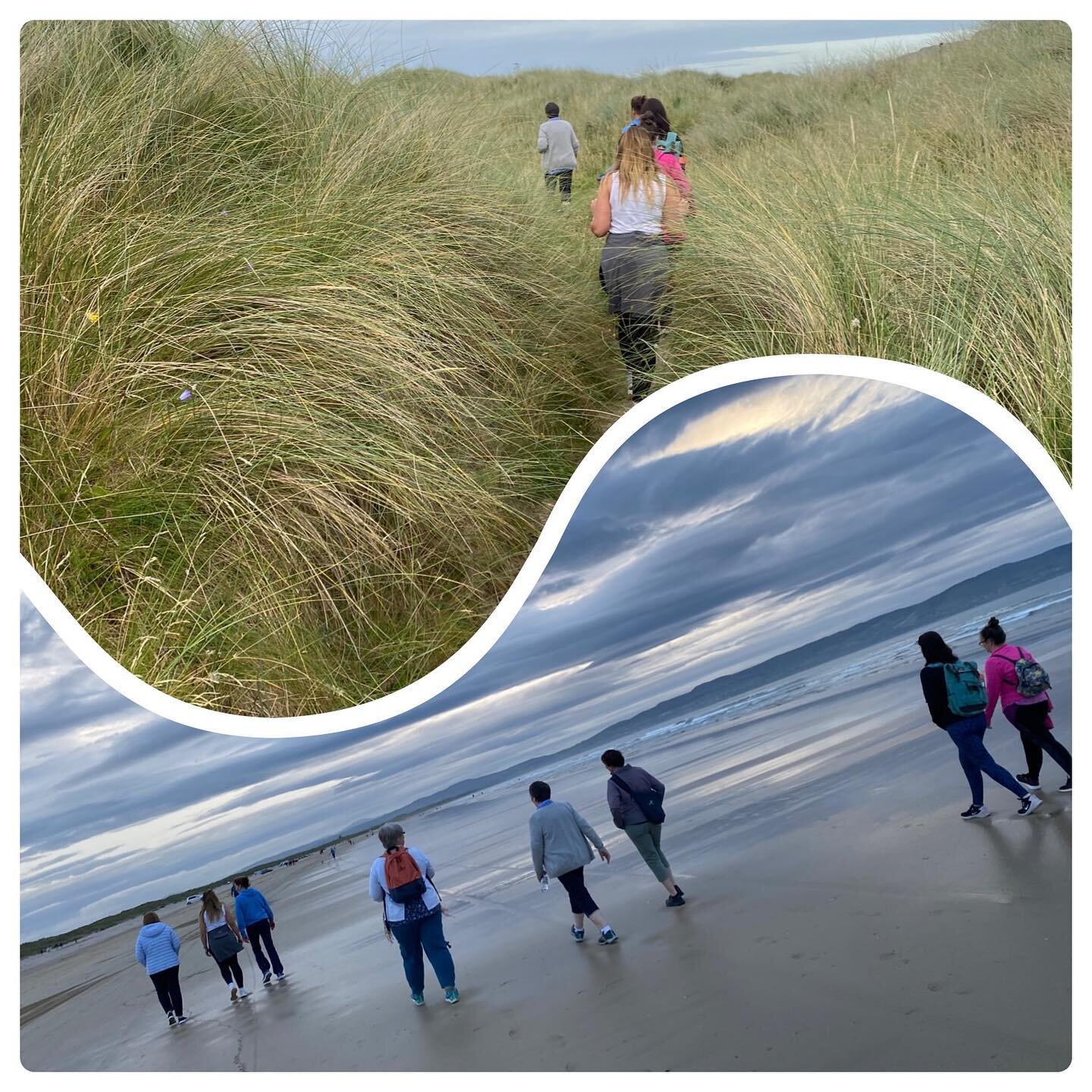 A lovely gathering tonight at Benone for our Zen Walk through the dune grasslands and back along the beach.

A wealth of wildlife to be found in the sand dunes but the swarms of dune flies prompted an early exit to the beach for our meditation, herba