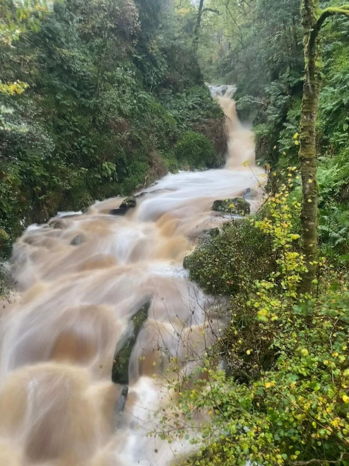 A wild and wonderful hike around Banagher Glen. 4hrs of non-stop rain together with bucket loads of courage, strength, resilience, support and connection. I am in awe of these women for braving the elements with me. Definitely a day to remember. I&rs