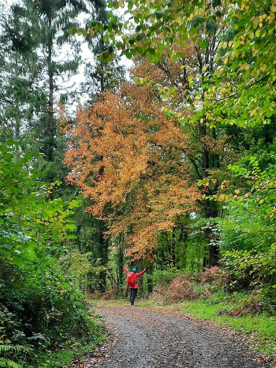 Even on grey, mizzley days, autumn has its own kind of magic &mdash; golden leaves, dancing mushrooms, nature&rsquo;s eyes smiling back at you. Hello pareidolia! 

Step outside this week - breathe it all in 🤗

And remember, the weather doesn&rsquo;t