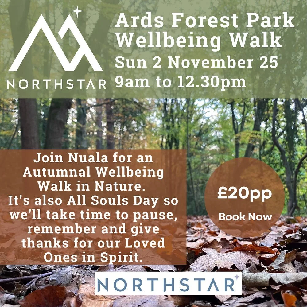 🍂 Autumn Wellbeing Walk at Ards Forest Park
Sunday 2 November 2025 | 9:00am &ndash; 12:30pm

As the seasons turn and the year gently begins to fade, we invite you to join us for an Autumn Wellbeing Walk through the quiet beauty of Ards Forest Park, 