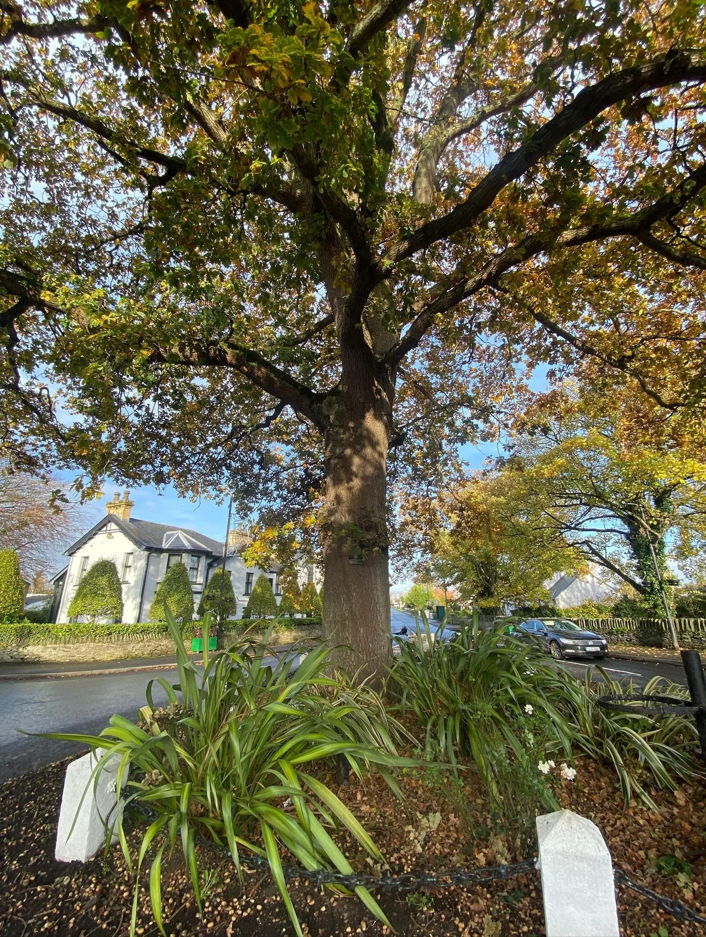 As part of my Level 3 Tour Guiding Training, I&rsquo;ll be leading a one-hour Walking Tour of the village of Eglinton.

A gentle walk this morning beginning to pull together all the narrative. It is amazing what you see when you stop to really look. 