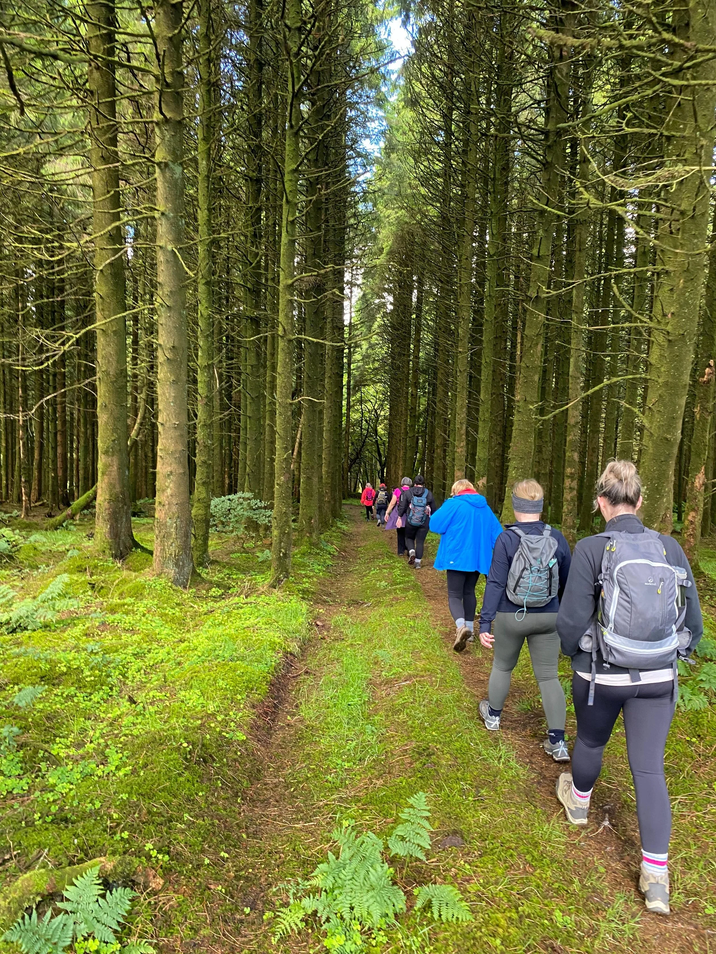 &ldquo;The real voyage of discovery consists not in seeking new landscapes, but in having new eyes&ldquo; - Proust.

Finding joy and well-being in Loughermore Forest ✨💫🤗

#wellbeingwalks #guidedwalks #loughermore
