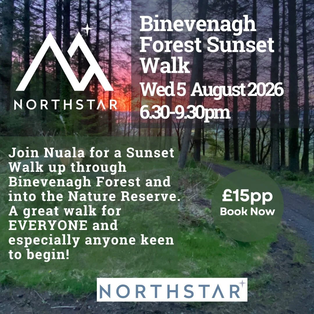 Join Nuala on Wednesday 5th August 2026 from 6.30-9.30pm for a beautiful Sunset Walk along the Binevenagh Forest Trail.

As you step into Binevenagh Forest, you&rsquo;ll be embraced by the cool, fresh scent of pine and spruce trees. Birdsong will fil