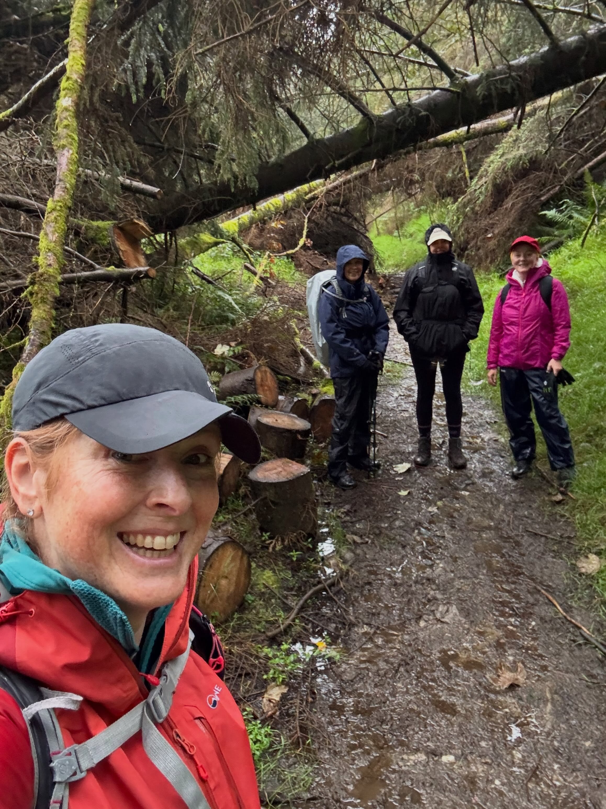 Days like these&hellip;&hellip;..4 hrs walking in constant rain in the arms of Mother Nature = immeasurable joy 🤩.

#banagherforest #sperrins #guidedwalks