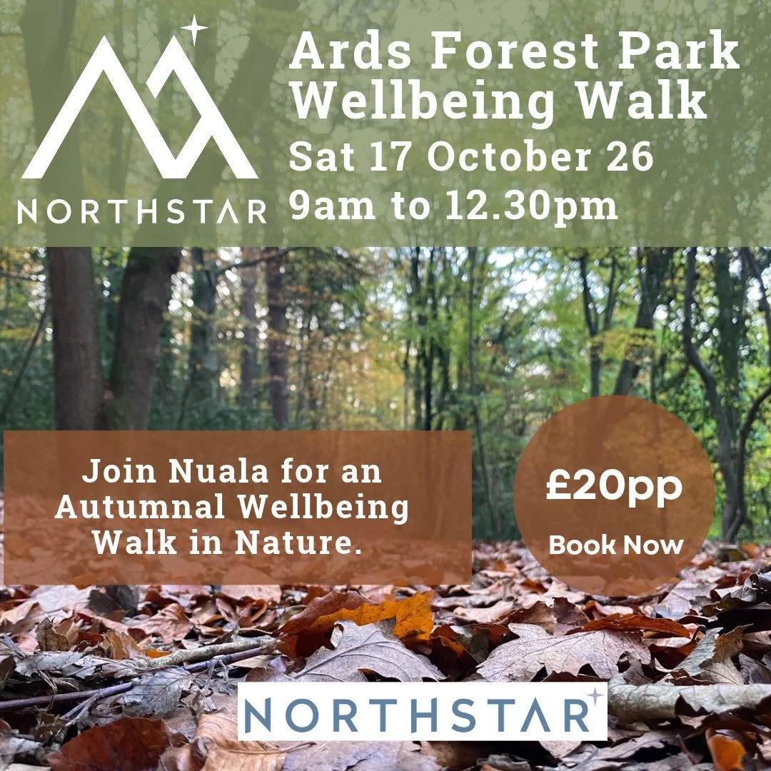 🍂 Autumn Wellbeing Walk at Ards Forest Park
Saturday 17 October 2026 | 9:00am &ndash; 12:30pm

As the seasons turn and the year gently begins to fade, we invite you to join us for an Autumn Wellbeing Walk through the quiet beauty of Ards Forest Park